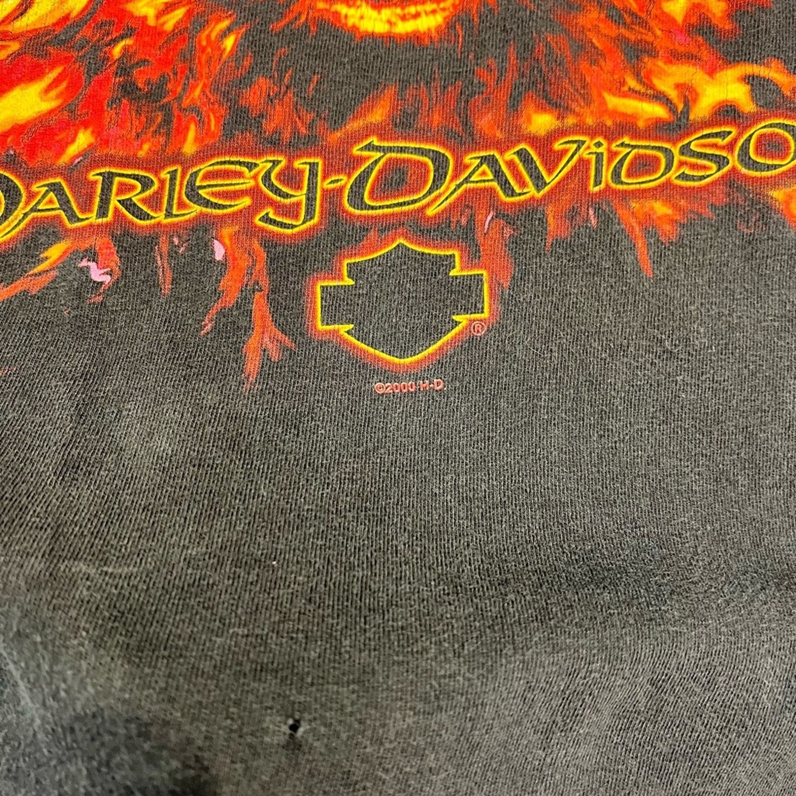Harley Davidson 2000 Harley-Davidson Taku Alaska Flaming Wolf Graphic Tee Size US L / EU 52-54 / 3 - 5 Thumbnail