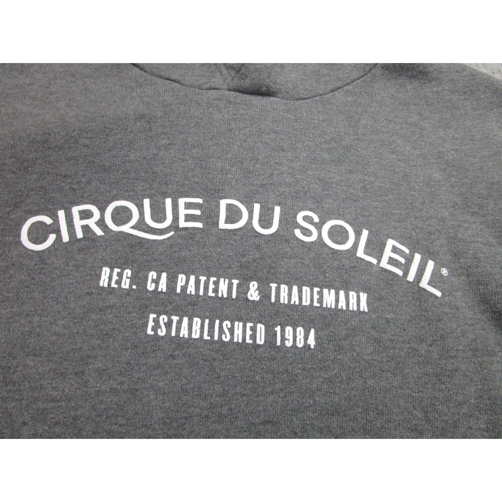 Logo 7 VINTAGE Cirque du Soleil Hoodie Mens M Gray Pullover Fleece Logo Graphic Print Size US M / EU 48-50 / 2 - 4 Thumbnail