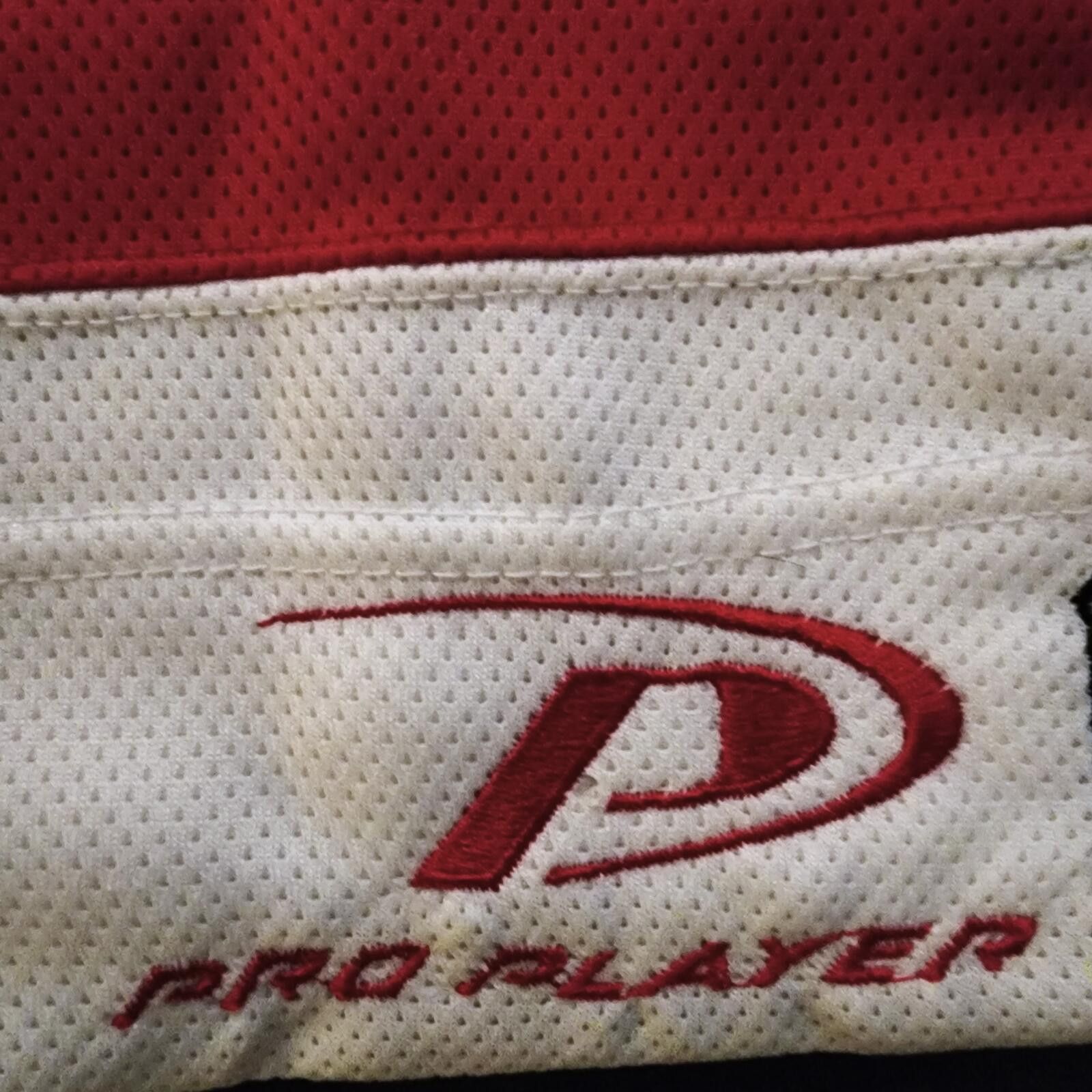 Pro Player Detroit Red Wings PRO PLAYER Hockey Jersey XL NHL Tupac '90s Size US XL / EU 56 / 4 - 3 Thumbnail