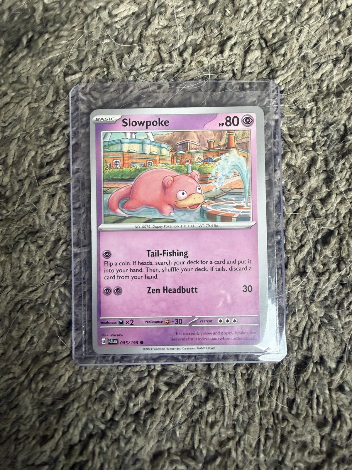 Pokemon 2023 Pokémon Slowpoke Card Size ONE SIZE - 1 Thumbnail