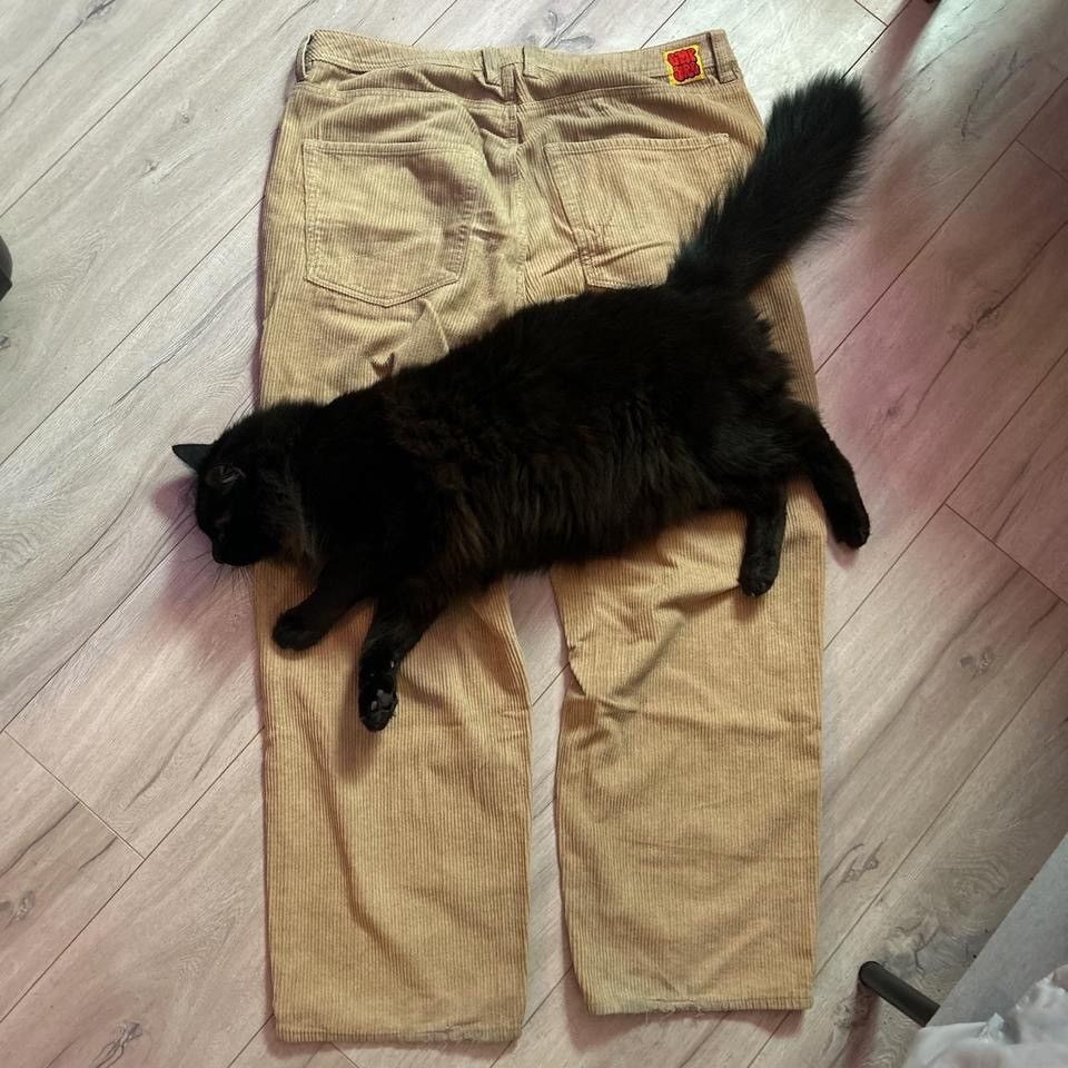 Empyre Empyre Corduroy Pants Size US 36 / EU 52 - 3 Thumbnail