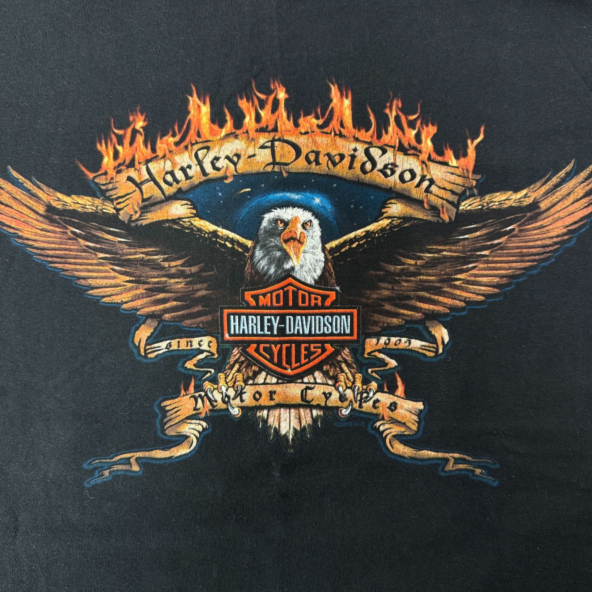 Harley Davidson HD EAGLE FLAMES Lone Star State TEXAS Longhorn Motorcycle T Size US XL / EU 56 / 4 - 3 Thumbnail
