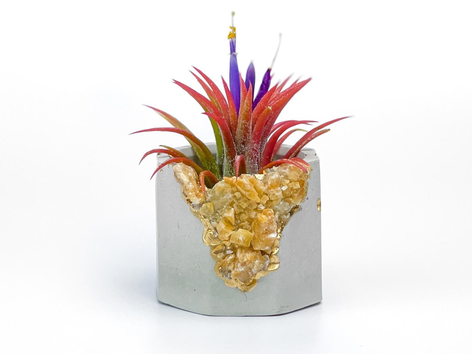 Other Raw Orange Calcite Crystal Planter Geode Planter Mini cute Size ONE SIZE - 2 Thumbnail