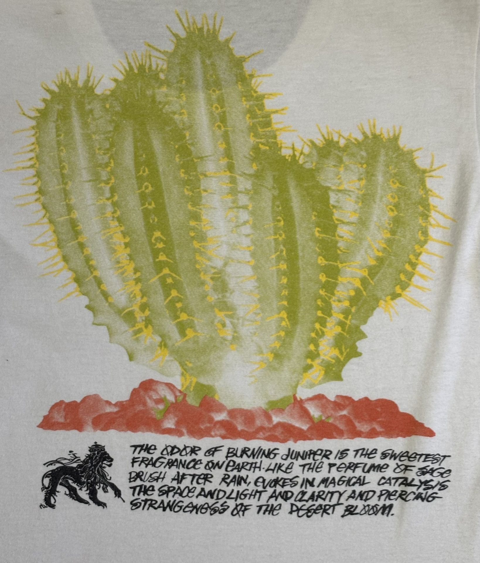 Stussy Stussy Desert Bloom T-shirt Size. XS Size US XS / EU 42 / 0 - 14 Thumbnail