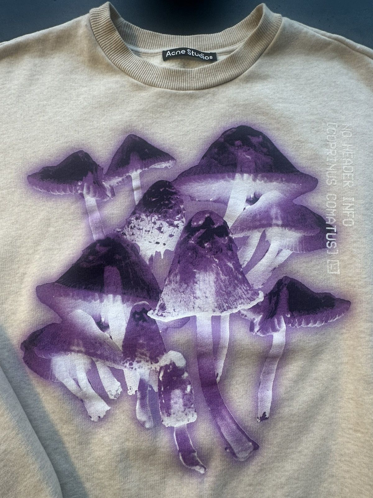 Acne Studios Acne Studios X-Ray Mushroom Graphic Sweatshirt Size US XL / EU 56 / 4 - 4 Thumbnail