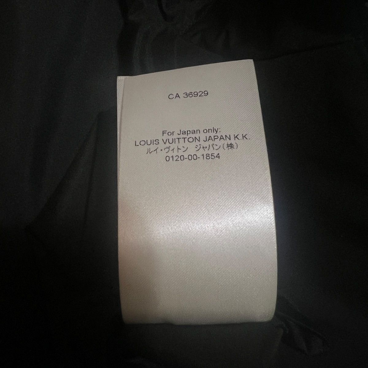Louis Vuitton LOUIS VUITTON 2023AW Graphic Layered Monogram Nylon Jacket Size US L / EU 52-54 / 3 - 10 Thumbnail