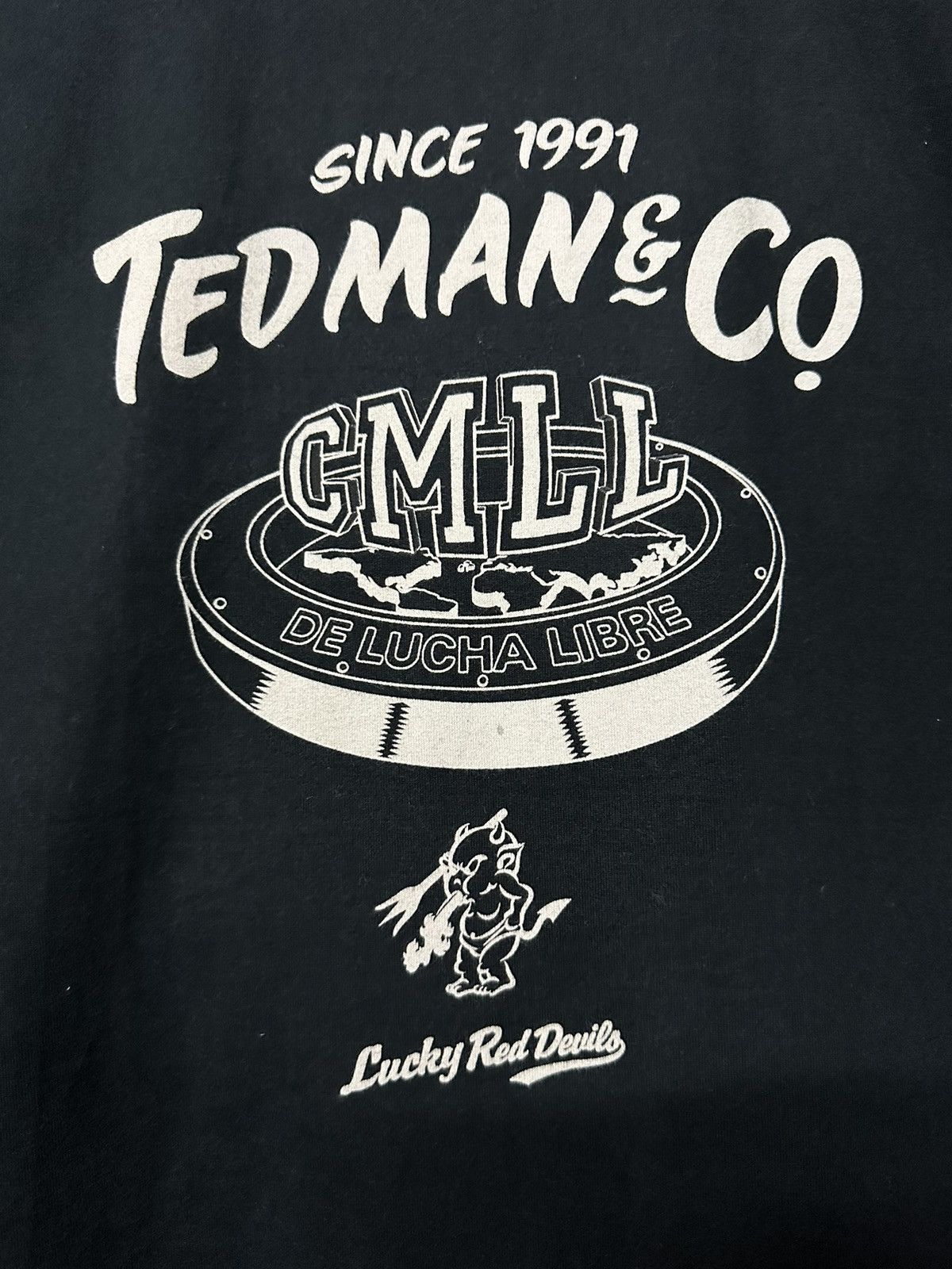 Tedman × WWE × WWF Tedman De Lucha Libre Wrestling Faded Tee Size US L / EU 52-54 / 3 - 4 Thumbnail