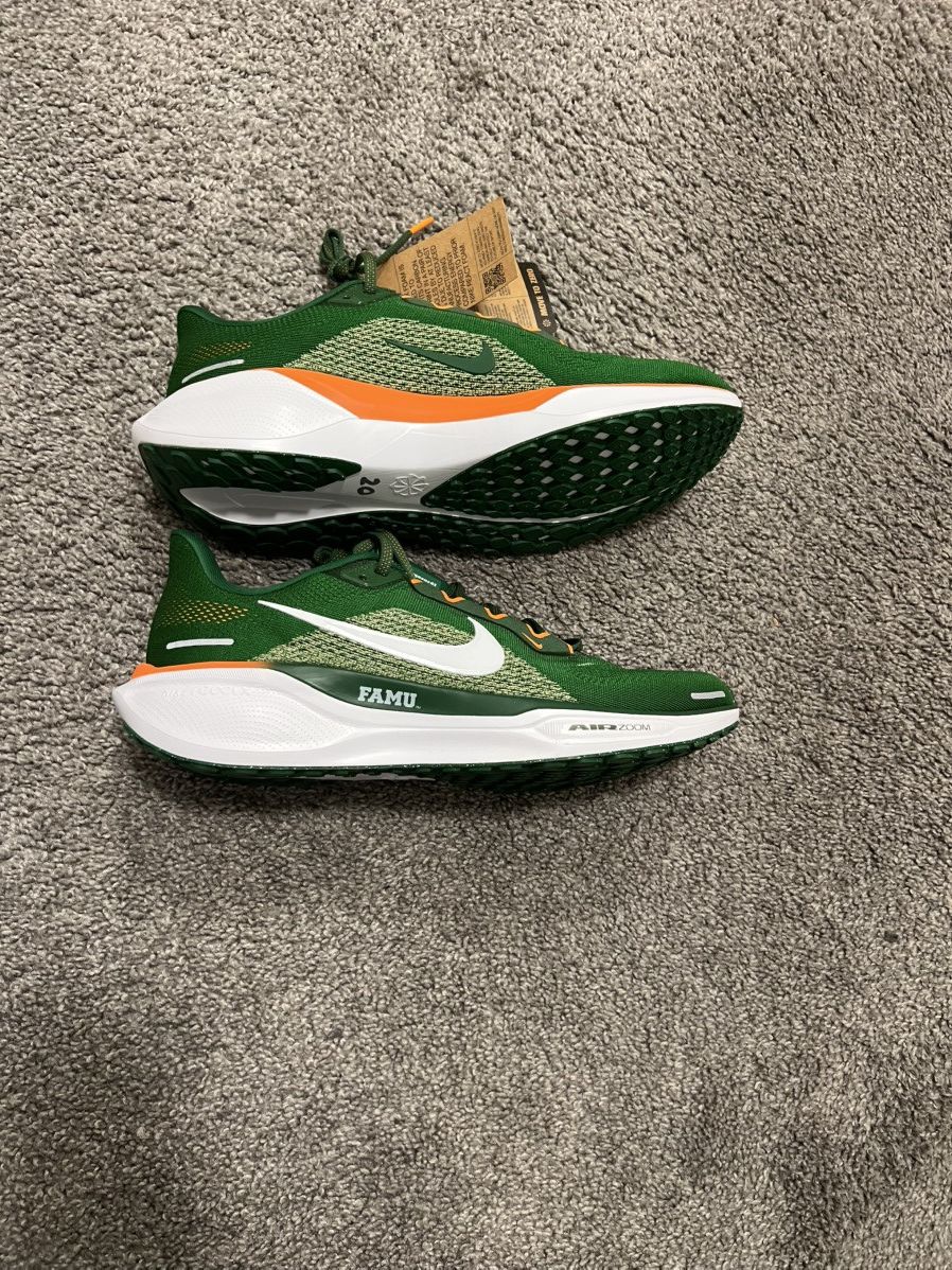 Nike Nike Air Pegasus 41 FAMU Size US 10.5 / EU 43-44 - 2 Thumbnail