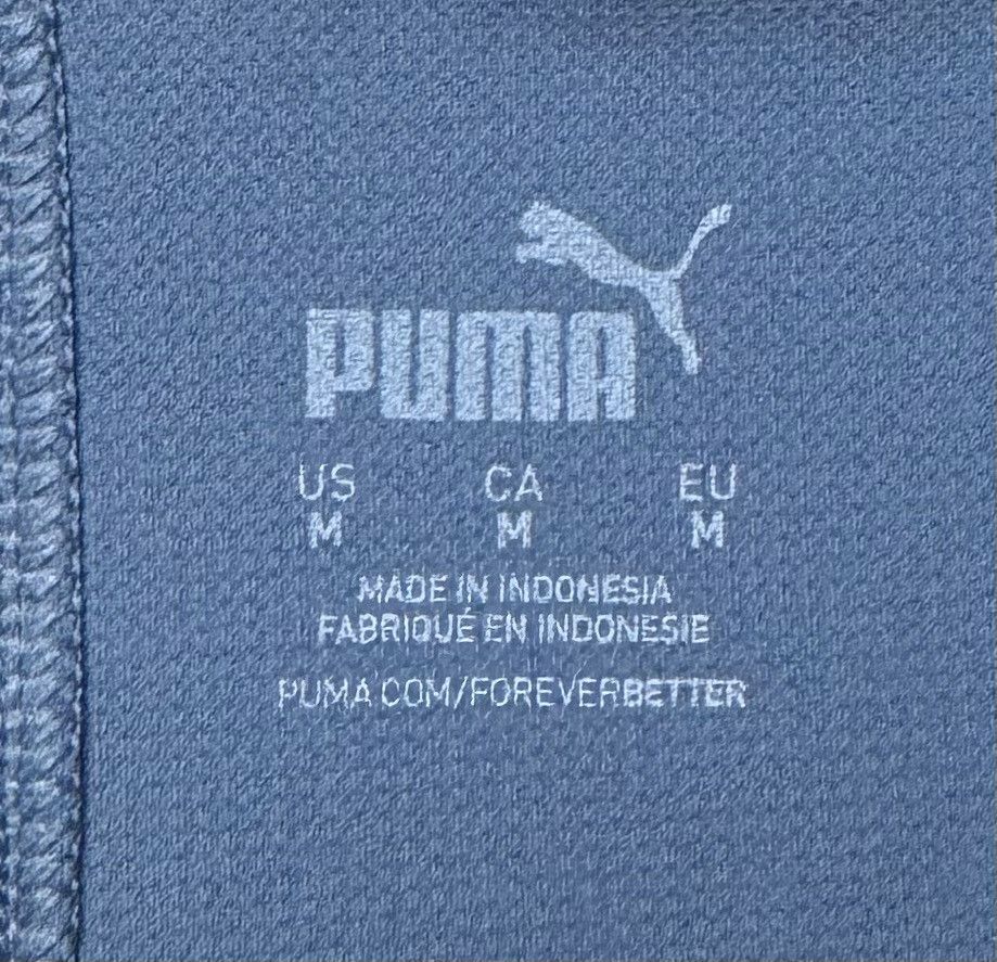 Puma Manchester City 2024 2025 Football Soccer Shorts Puma Size US 32 / EU 48 - 9 Thumbnail