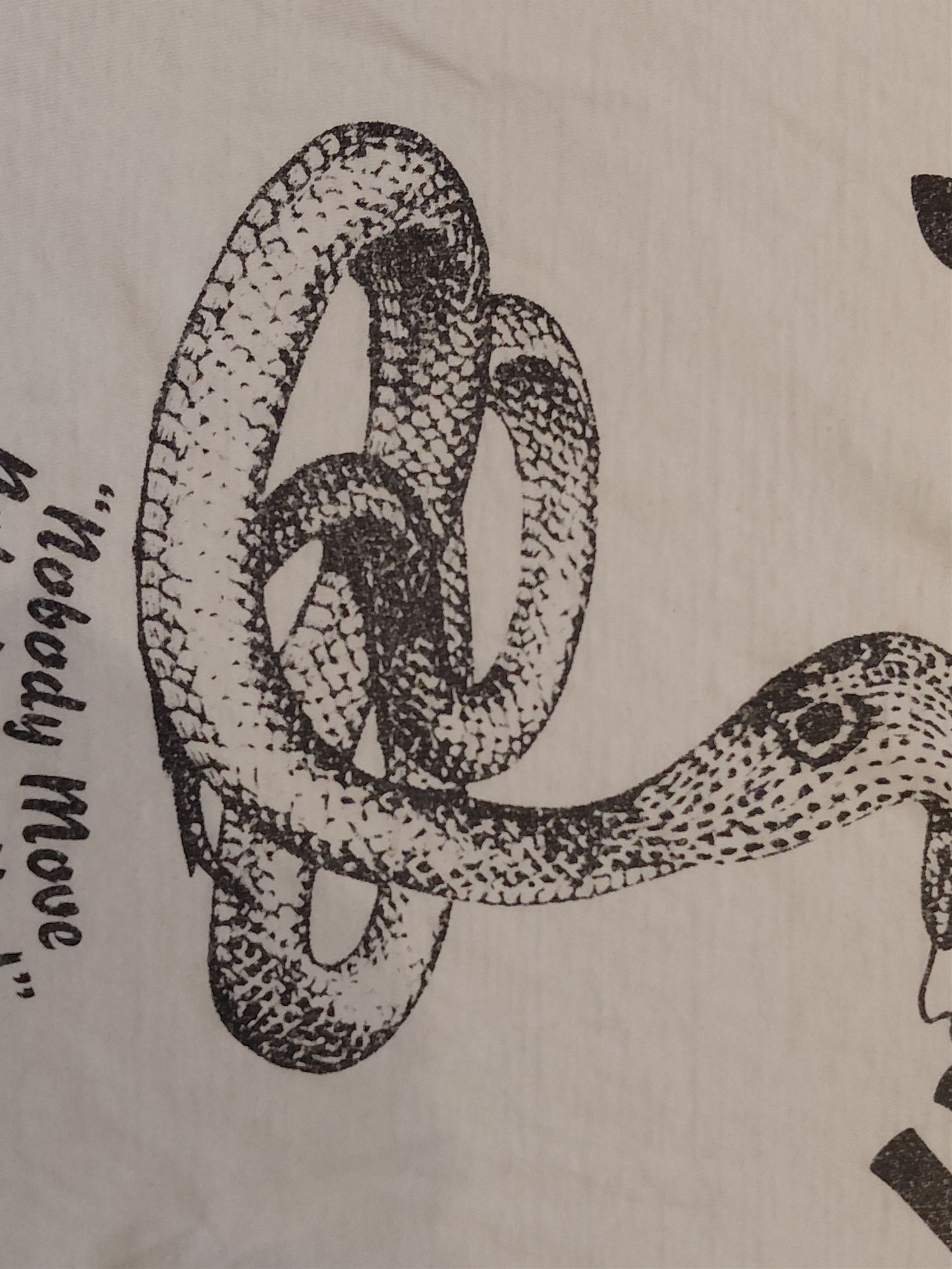 Stussy ARCHIVAL 90s Stüssy Snake Pit | Paper Thin | 30yr Provenance Size US M / EU 48-50 / 2 - 3 Thumbnail