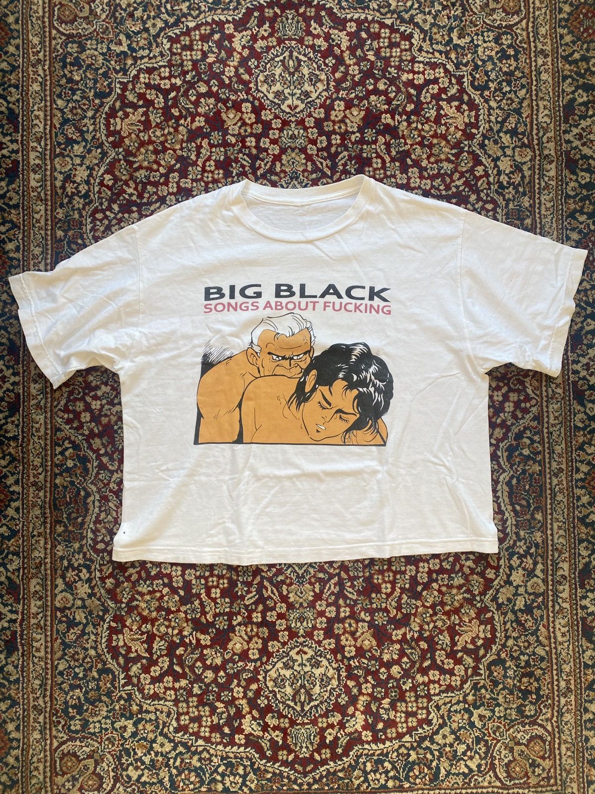 Band Tees × Vintage Big Black Song About Fucking Tshirt