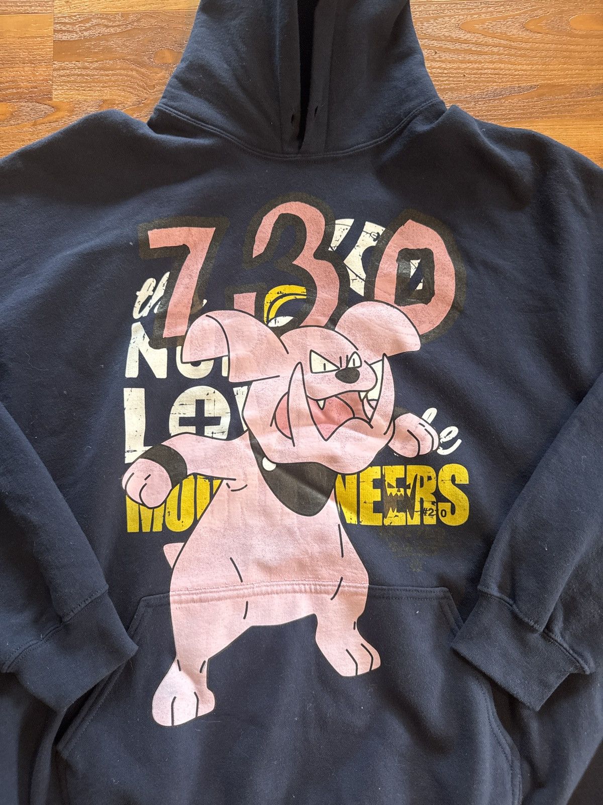 Asspizza Asspizza Pokemon revived hoodie #210 west Virginia Size US XL / EU 56 / 4 - 1 Thumbnail