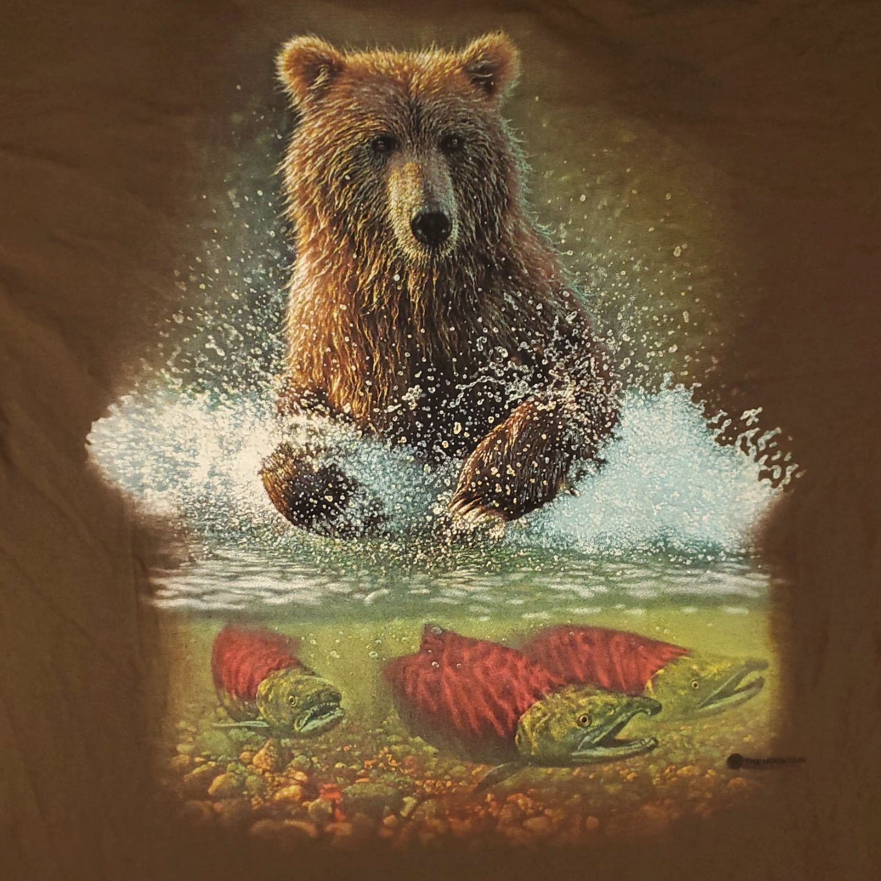 The Mountain The Mountain Long Sleeve T-Shirt Men's 3XL Brown Grizzly Bear Fishing Print Size US XXL / EU 58 / 5 - 2 Thumbnail