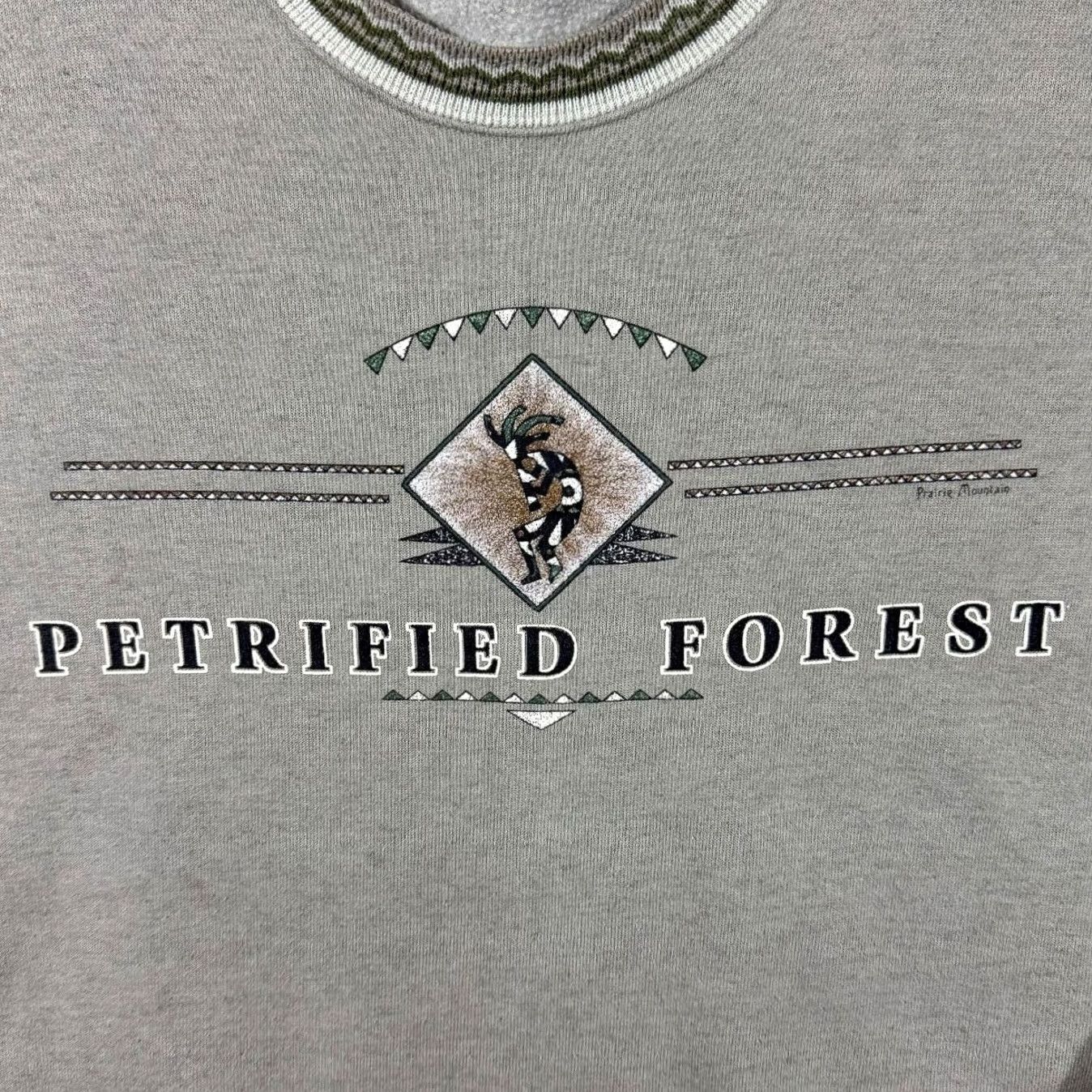 Vintage VINTAGE 90's Petrified Forest USA Tourist Spellout Graphic Beige Sweatshirt L XL Mens Shirt Pullover Graphic Beige 90s Size US L / EU 52-54 / 3 - 4 Thumbnail