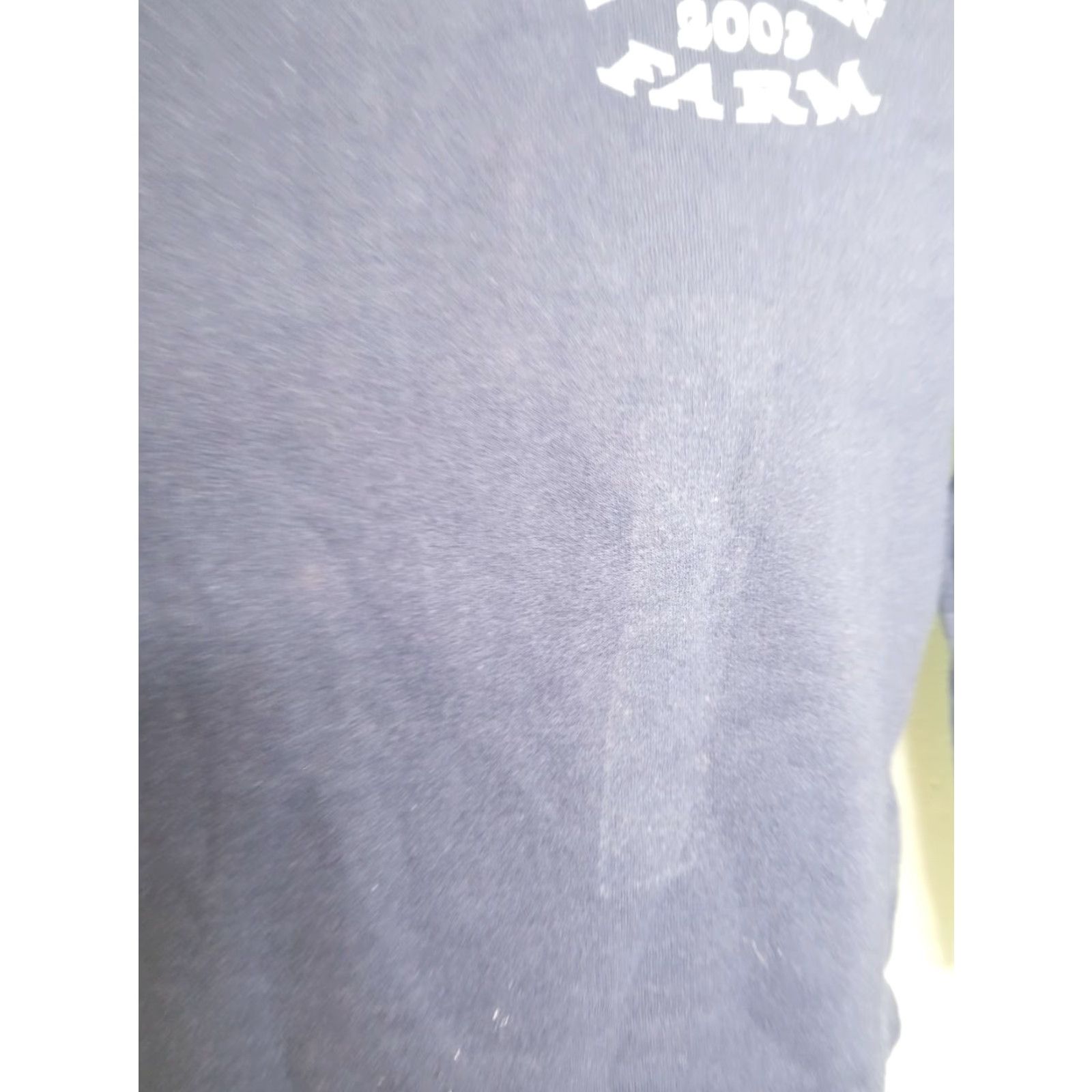 Hanes VINTAGE Hanes Womens S Crewneck Sweatshirt Fish Fry 2003 Double-Sided Hanes Her Way Shirt Pullover Blue 2003 Fish Fry Activewear Womens Sweatshirt C Size S / US 4 / IT 40 - 3 Thumbnail