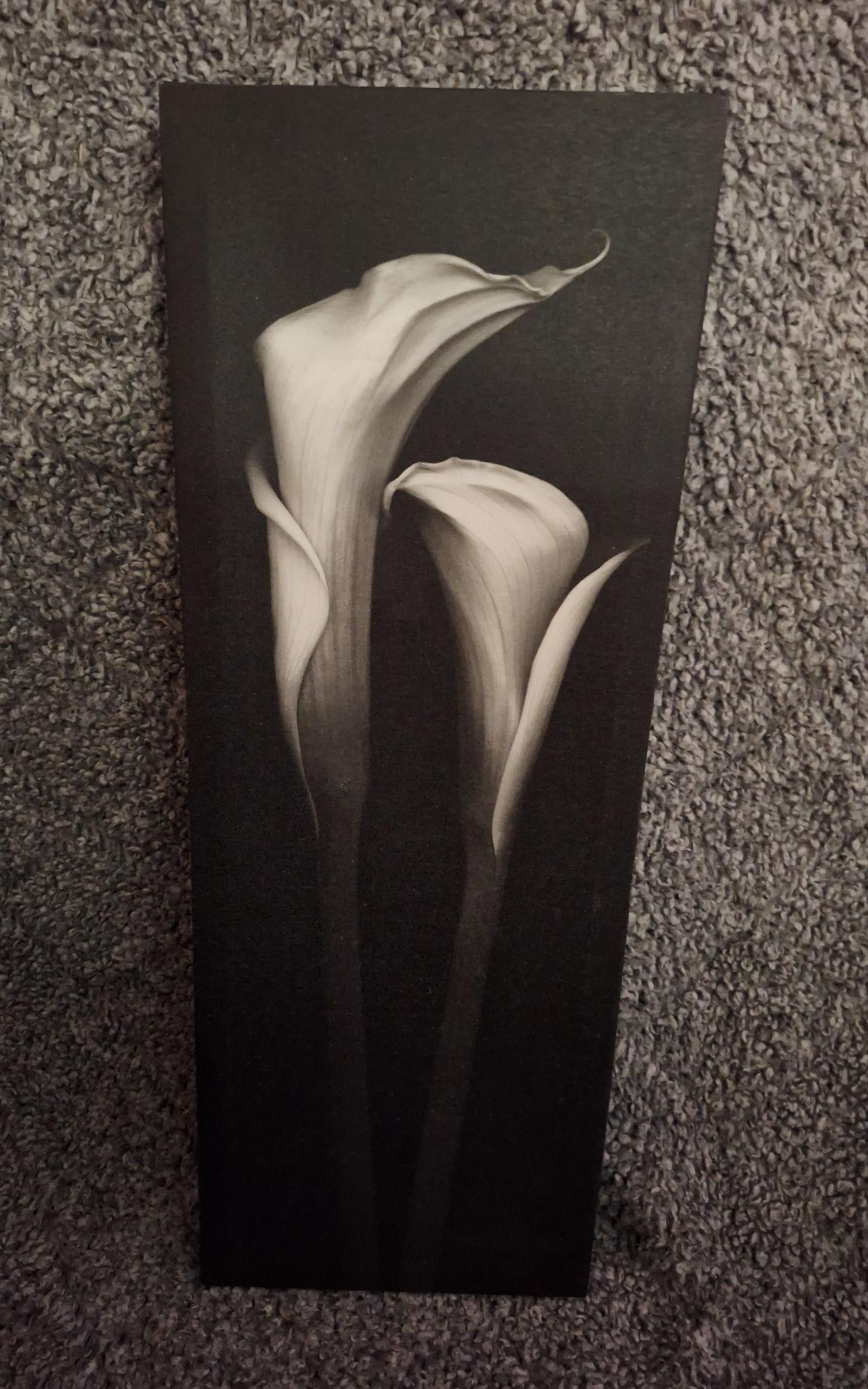 Designer Calla Lilly Flower Print - Black & White Wall Art Size ONE SIZE - 3 Thumbnail