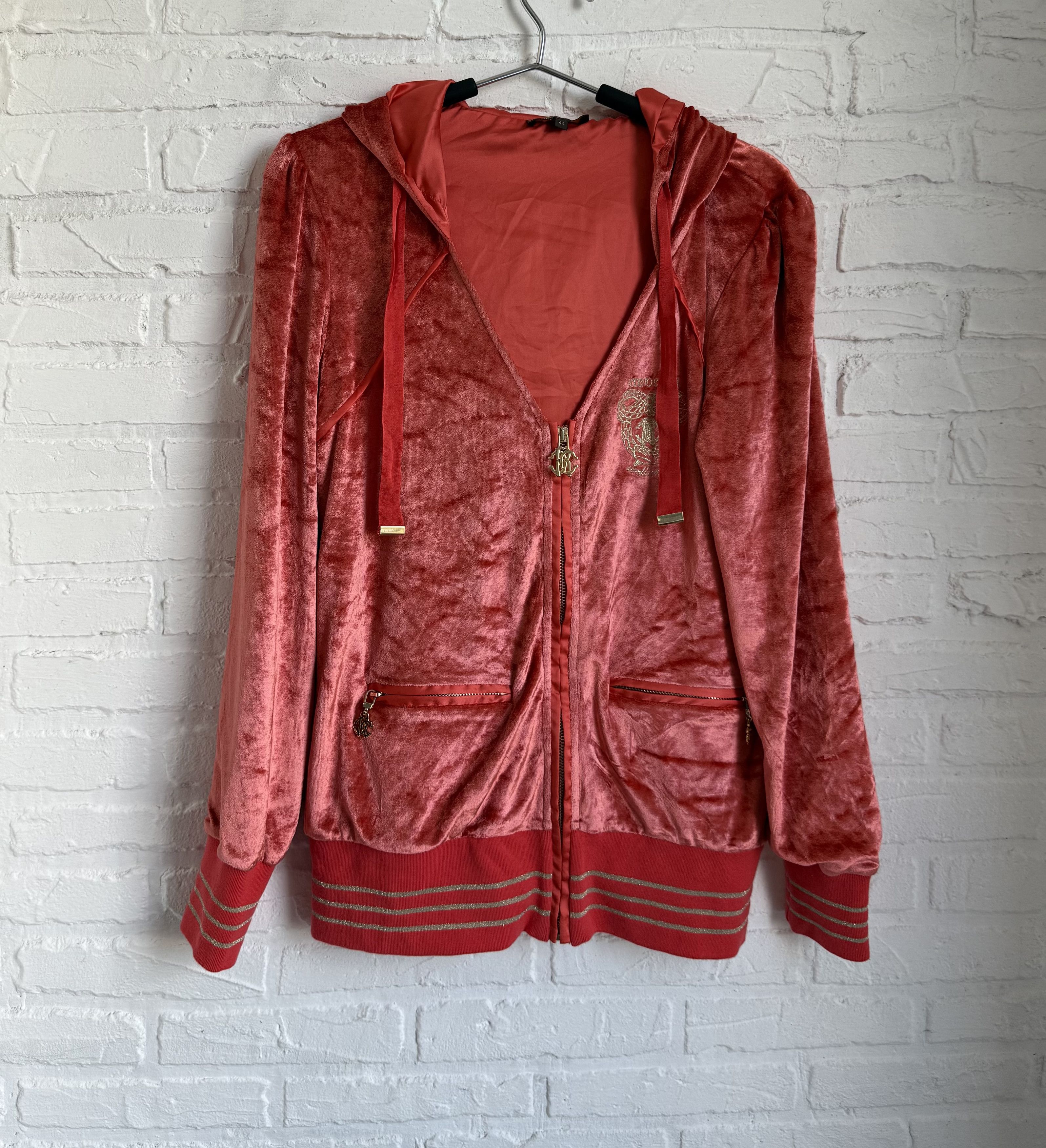 Roberto Cavalli Roberto cavalli gym velour zip hoodie y2k Size M / US 6-8 / IT 42-44 - 2 Thumbnail