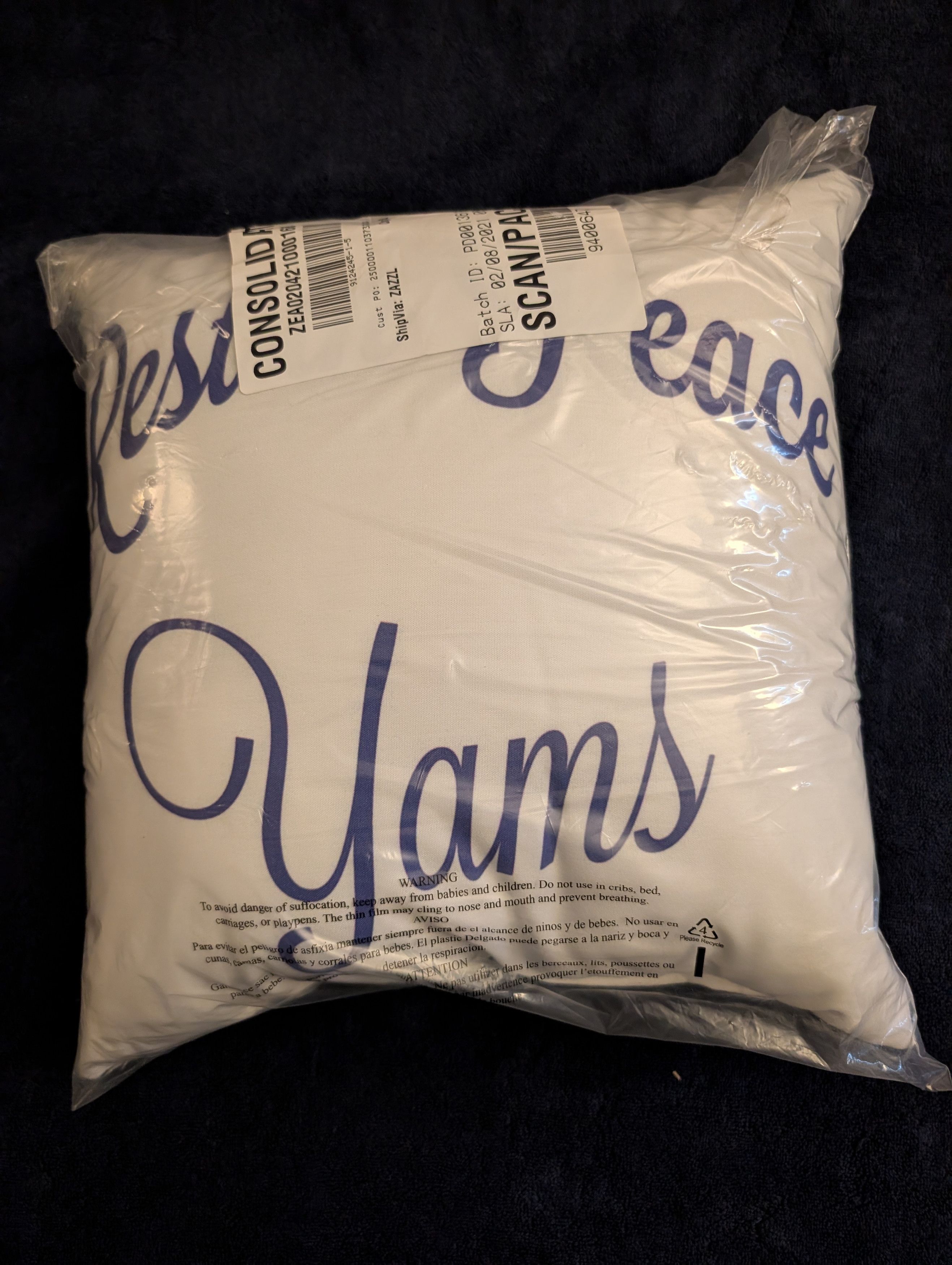 Other Coral Studios Yams Day RIP ASAP Yams Pillow Size ONE SIZE - 1 Thumbnail