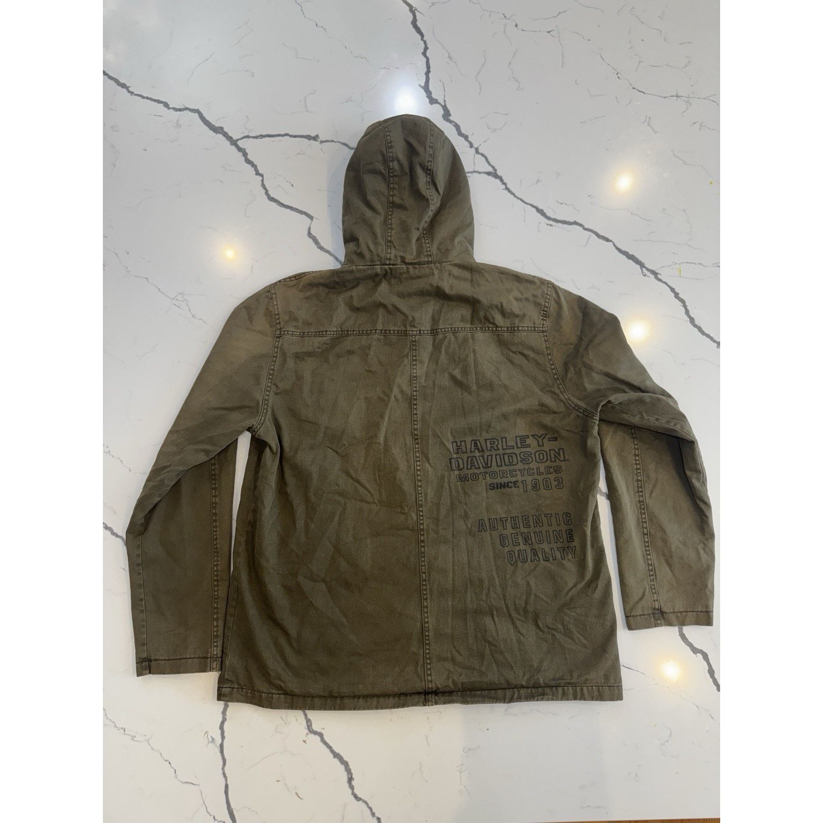 Harley Davidson Harley-Davidson Men Hooded Jacket Zip Green Motorcycle Patch Size US XL / EU 56 / 4 - 10 Thumbnail