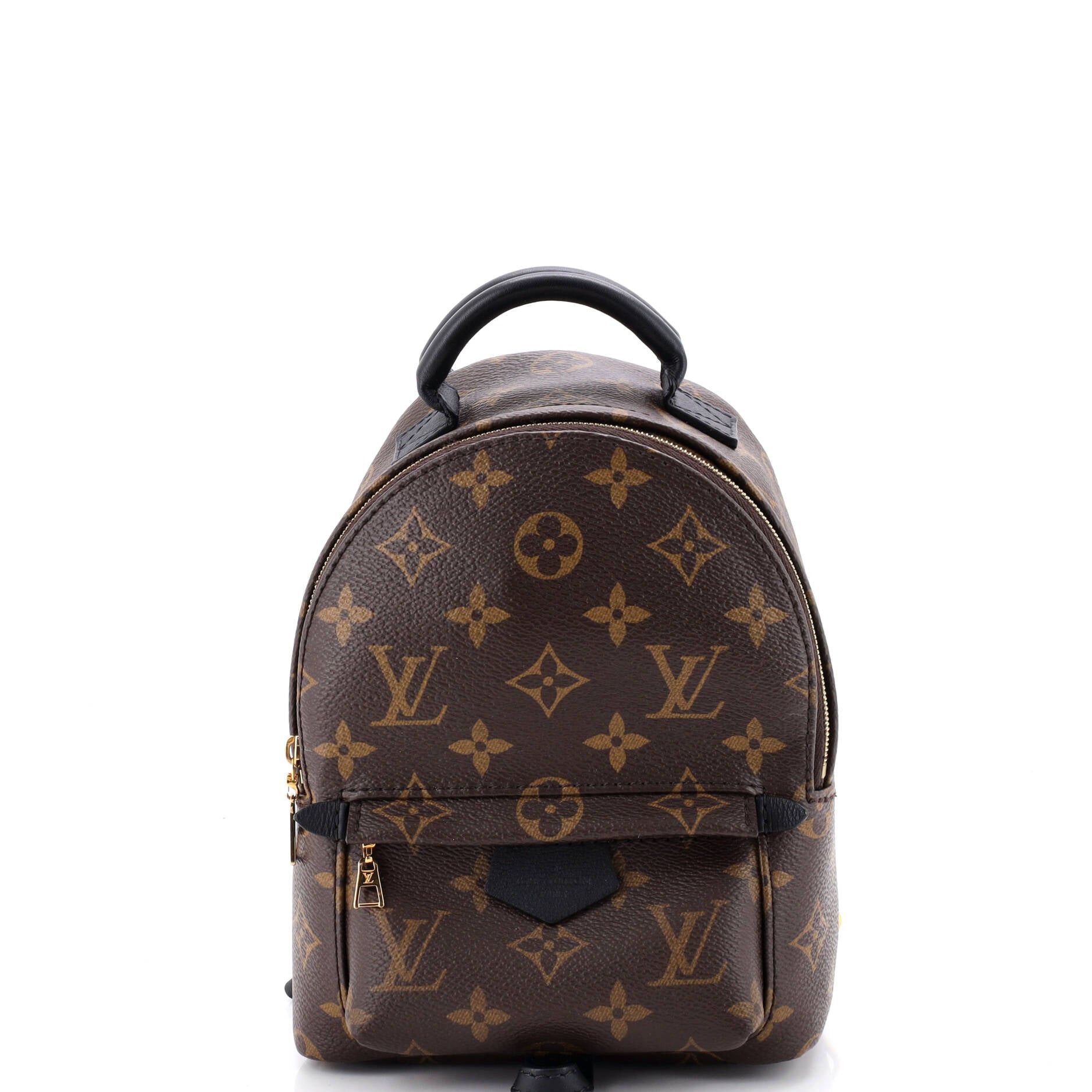 Louis Vuitton Palm Springs Backpack Size ONE SIZE - 1 Thumbnail