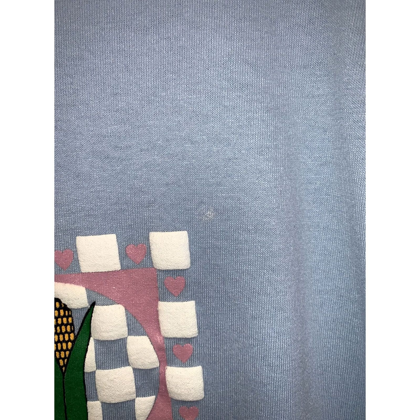 Hanes VINTAGE Womens Blue Iowa Graphic T Shirt XL-8607 Hanes Shirt Graphic 1990s Cotton Blend Size XL / US 12-14 / IT 48-50 - 7 Thumbnail