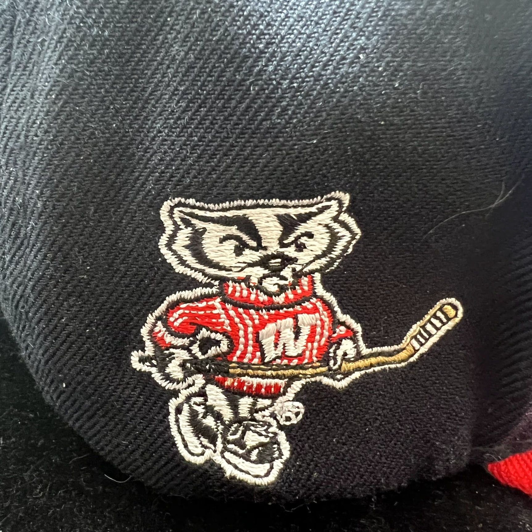 Zephyr VINTAGE Zephyr Wisconsin 1994 Rose Bowl Champions Snapback Hat - Adjustable Black Wool Adult Mens Size ONE SIZE - 5 Thumbnail