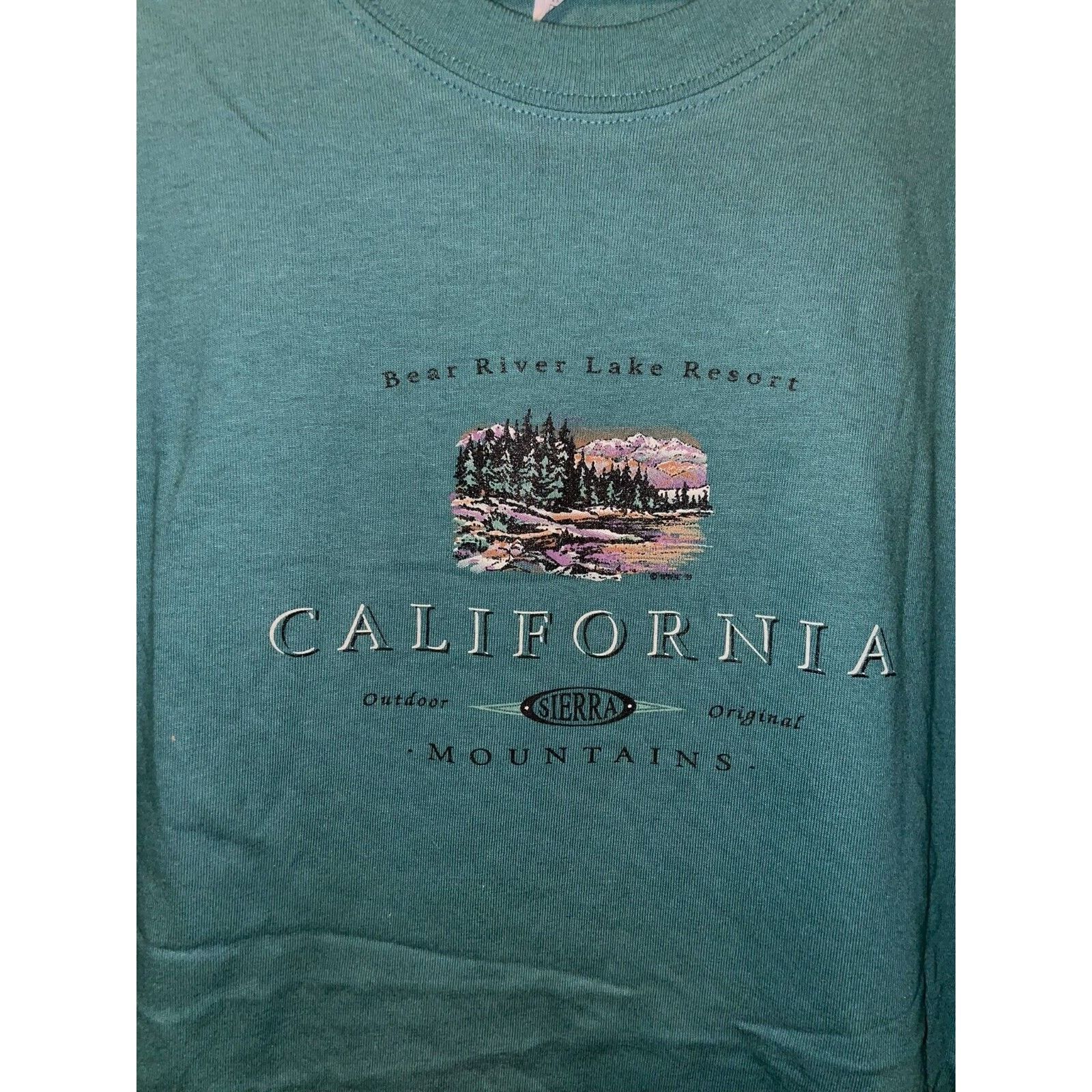 Anvil Vintage Bear River Lake Resort Shirt California Tee 90s XL Size US XL / EU 56 / 4 - 4 Thumbnail