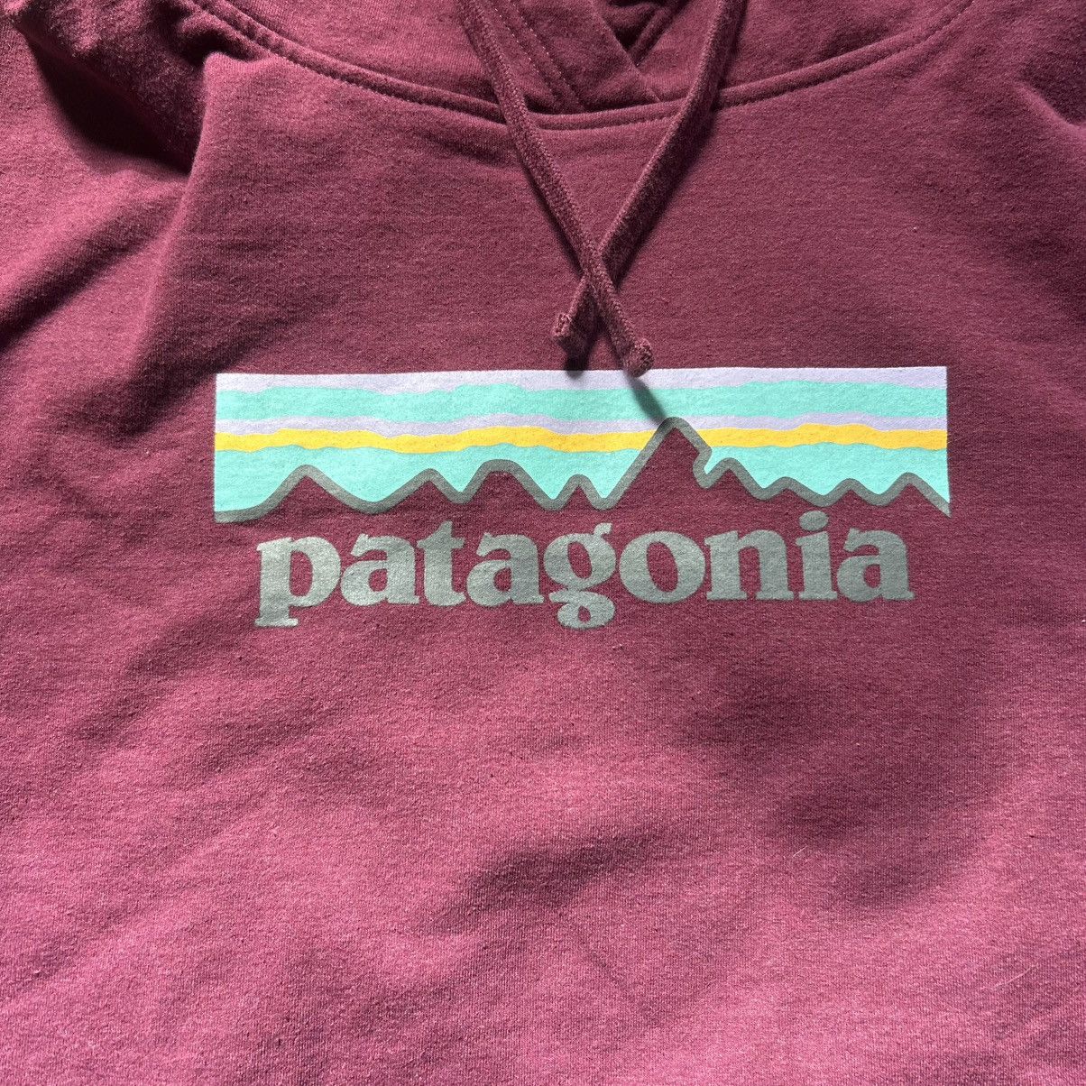 Patagonia Y2K Patagonia Women’s Large Hoodie Size L / US 10 / IT 46 - 2 Thumbnail