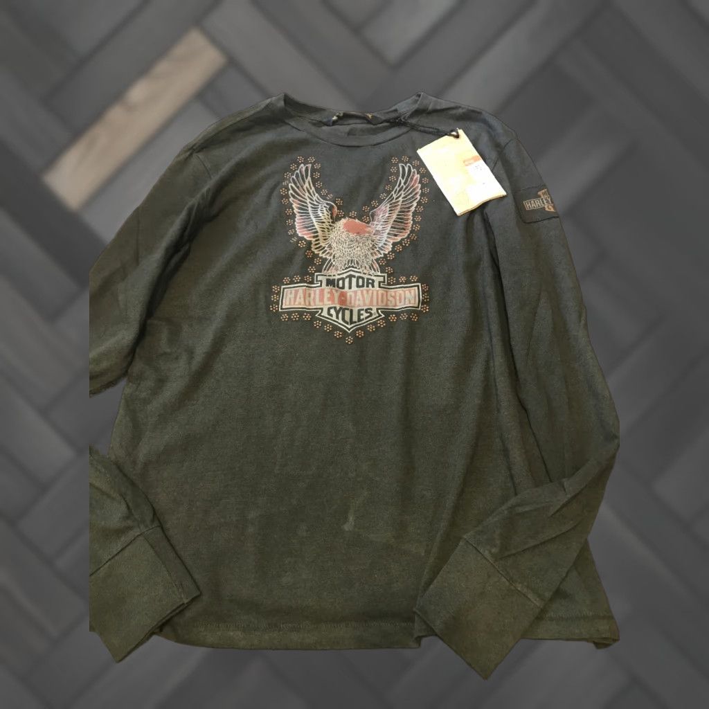 Harley Davidson VINTAGE? (no) Women's Harley-Davidson Shirt XL Gray Studded Distressed Eagle Long Sleeve, 99124-19VW, 99124-19VW, HD, Jacket? Size XL / US 12-14 / IT 48-50 - 1 Thumbnail