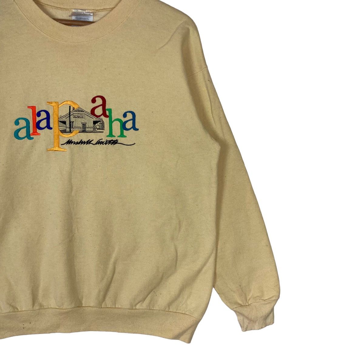Hanes Vintage Hanes Alapaha Spell Out Pullover Jumper Sweatshirt Size US M / EU 48-50 / 2 - 4 Thumbnail