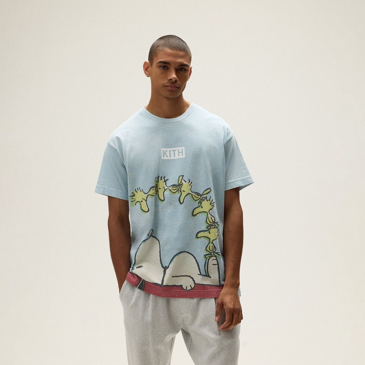 KITH x PEANUTS Hug vintage tee コラボTシャツ Kith for Peanuts High