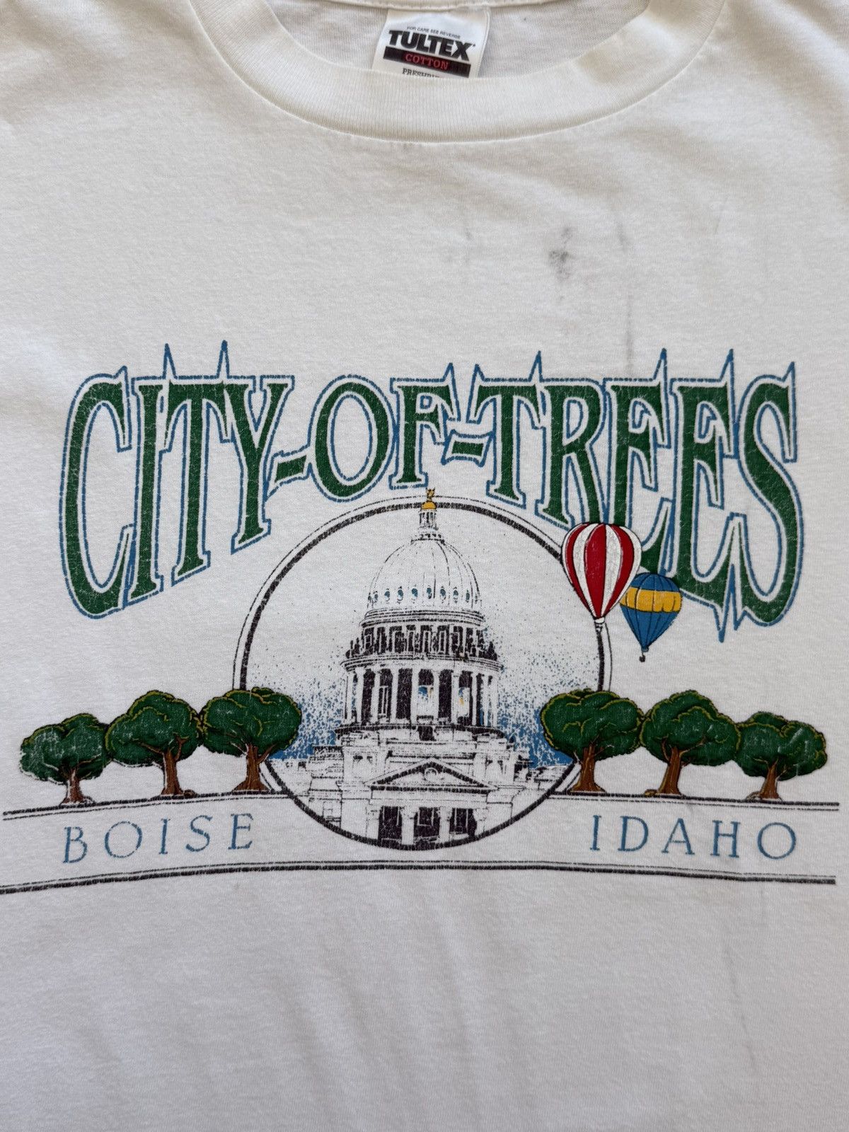 Tultex Vintage City of Trees Boise Idaho Balloon Nature Shirt Size US L / EU 52-54 / 3 - 3 Thumbnail