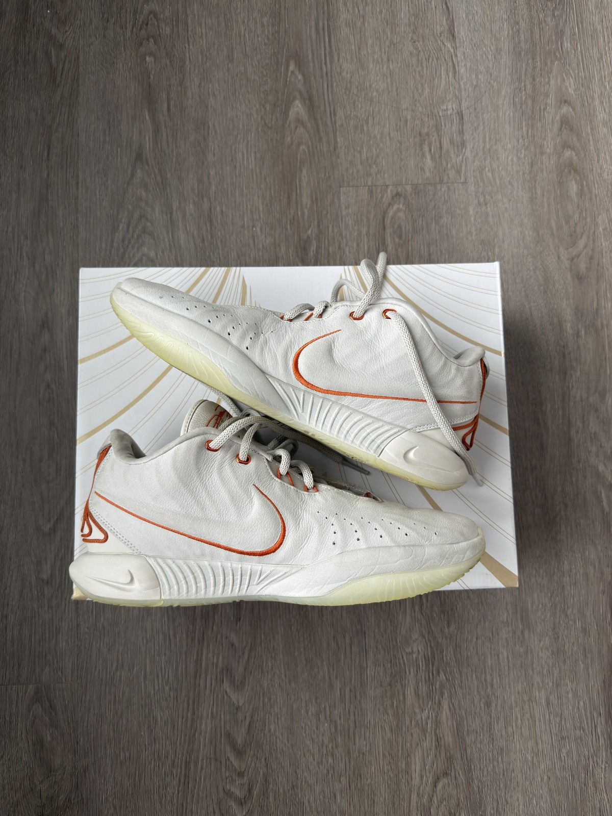 Nike LeBron 21 Akoya