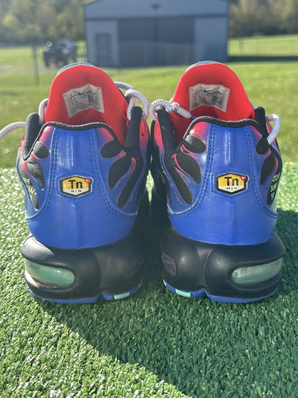 Nike Nike Air Max Plus ‘Parachute’ Size US 12 / EU 45 - 4 Thumbnail