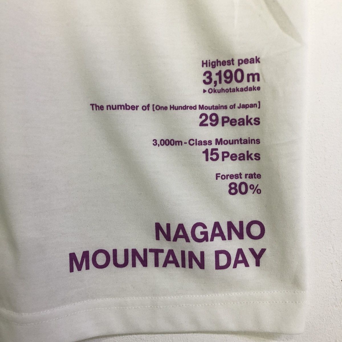 Montbell Montbell Nagano Mountain Day Hiking Event Tshirt Size US L / EU 52-54 / 3 - 4 Thumbnail