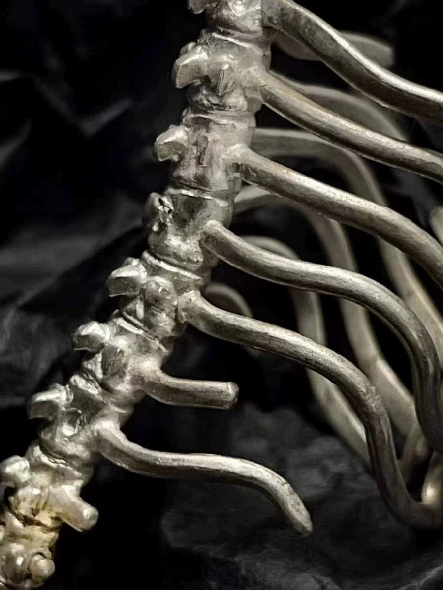 Jewelry Skull Crazy Jewelry Rings Open Size Chrome Ring (Size 7-13) Size ONE SIZE - 3 Thumbnail