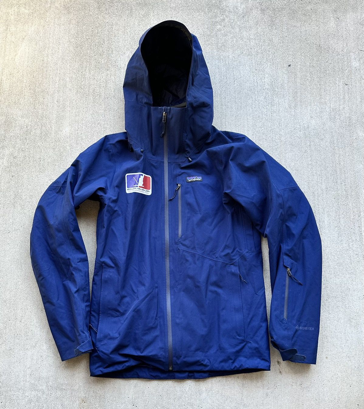 Gore Tex Patagonia Men's Piolet Jacket Patagonia Triolet