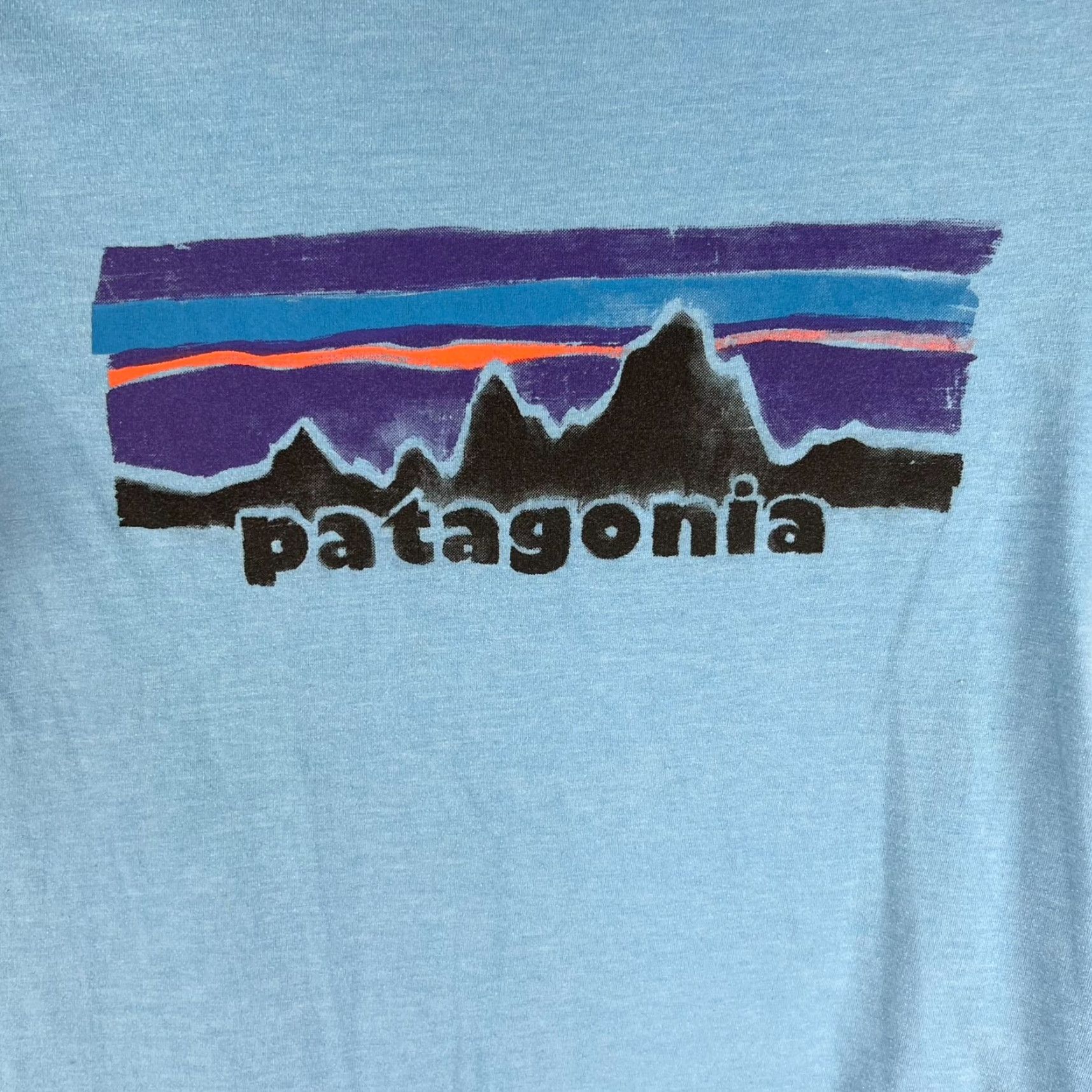 Patagonia Patagonia T Shirt M Mens Blue Graphic Tee Organic Cotton/ Poly Shirt Adult Medium Blue Graphic Print Patagonia Logo Nature Outdoor Mens Size US M / EU 48-50 / 2 - 2 Thumbnail
