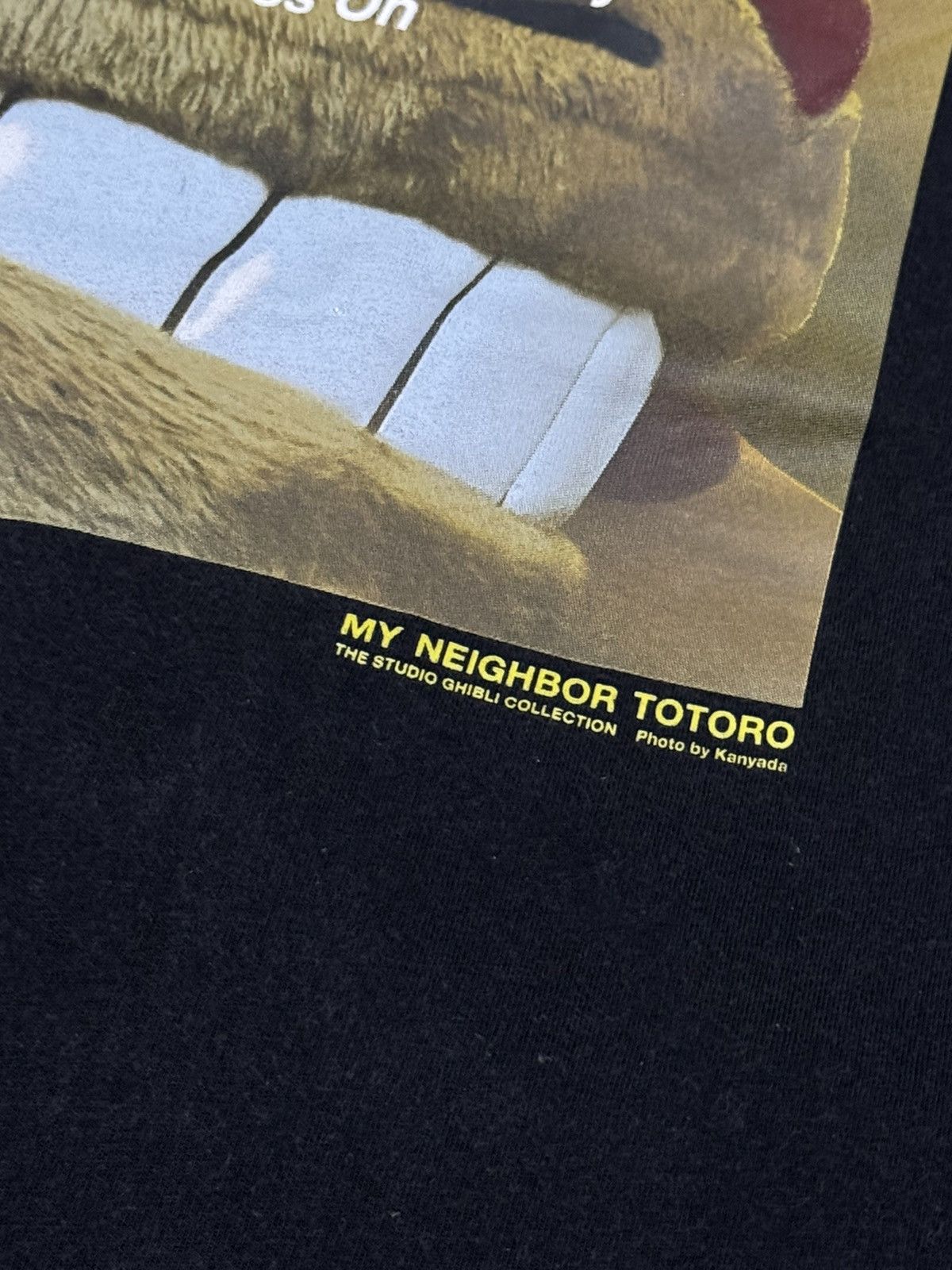 Anime × Cartoon Network × Japanese Brand Anime totoro studio ghibli catbus Size US M / EU 48-50 / 2 - 3 Thumbnail
