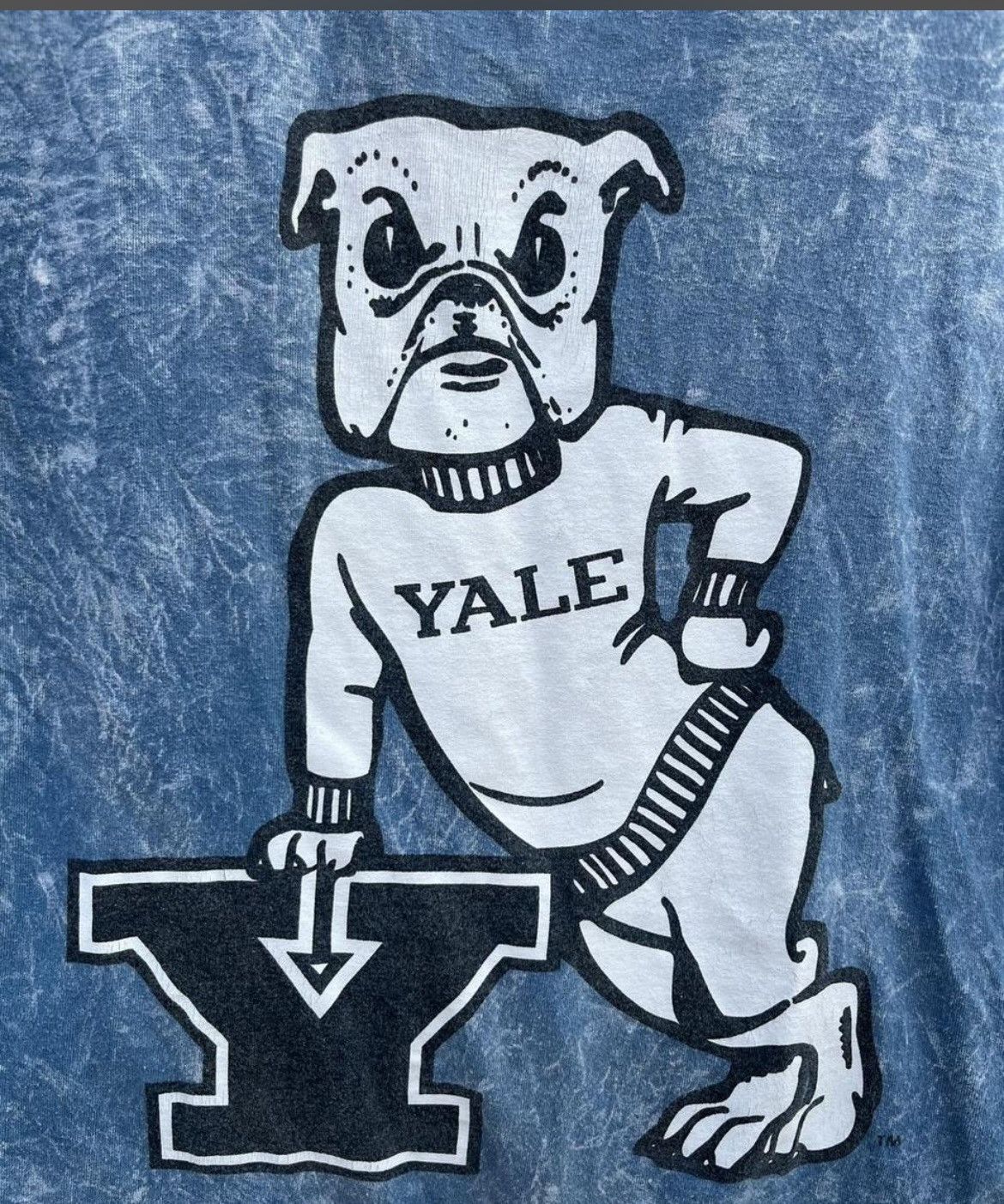 NCAA Yale Handsome Dan Mascot Tee | Large I Bulldog Size US L / EU 52-54 / 3 - 3 Thumbnail