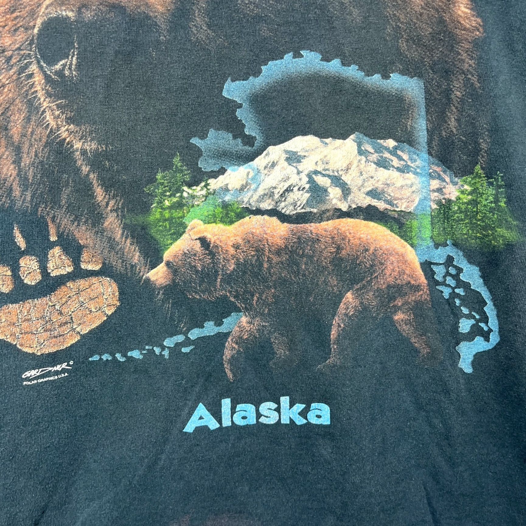 Vintage VINTAGE Grizzly Bear Alaska Nature Animal T Shirt L Men Black 90s Sun Faded Rap Tee Size US L / EU 52-54 / 3 - 6 Thumbnail