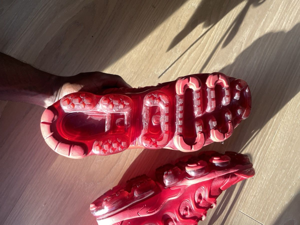 Nike Nike Air VaporMax Plus Size US 12 / EU 45 - 9 Thumbnail