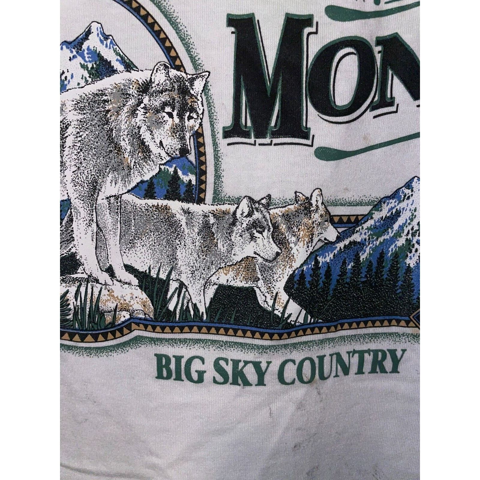 Jerzees Vintage Montana Shirt Big Sky Country Preseve Nature Tee 90s Size US S / EU 44-46 / 1 - 3 Thumbnail