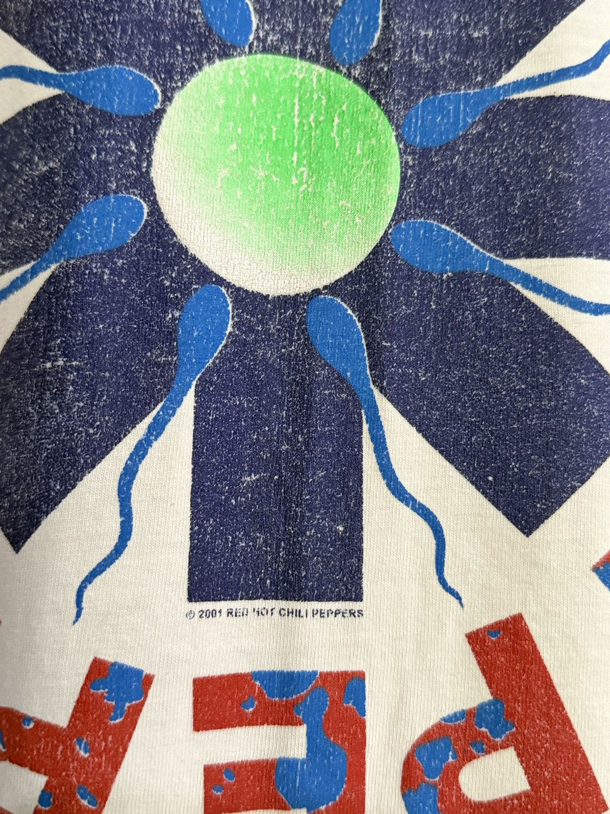 Band Tees Vintage 3q Red Hot Chili Peppers Boxy Sun Faded Tee Size US L / EU 52-54 / 3 - 4 Thumbnail