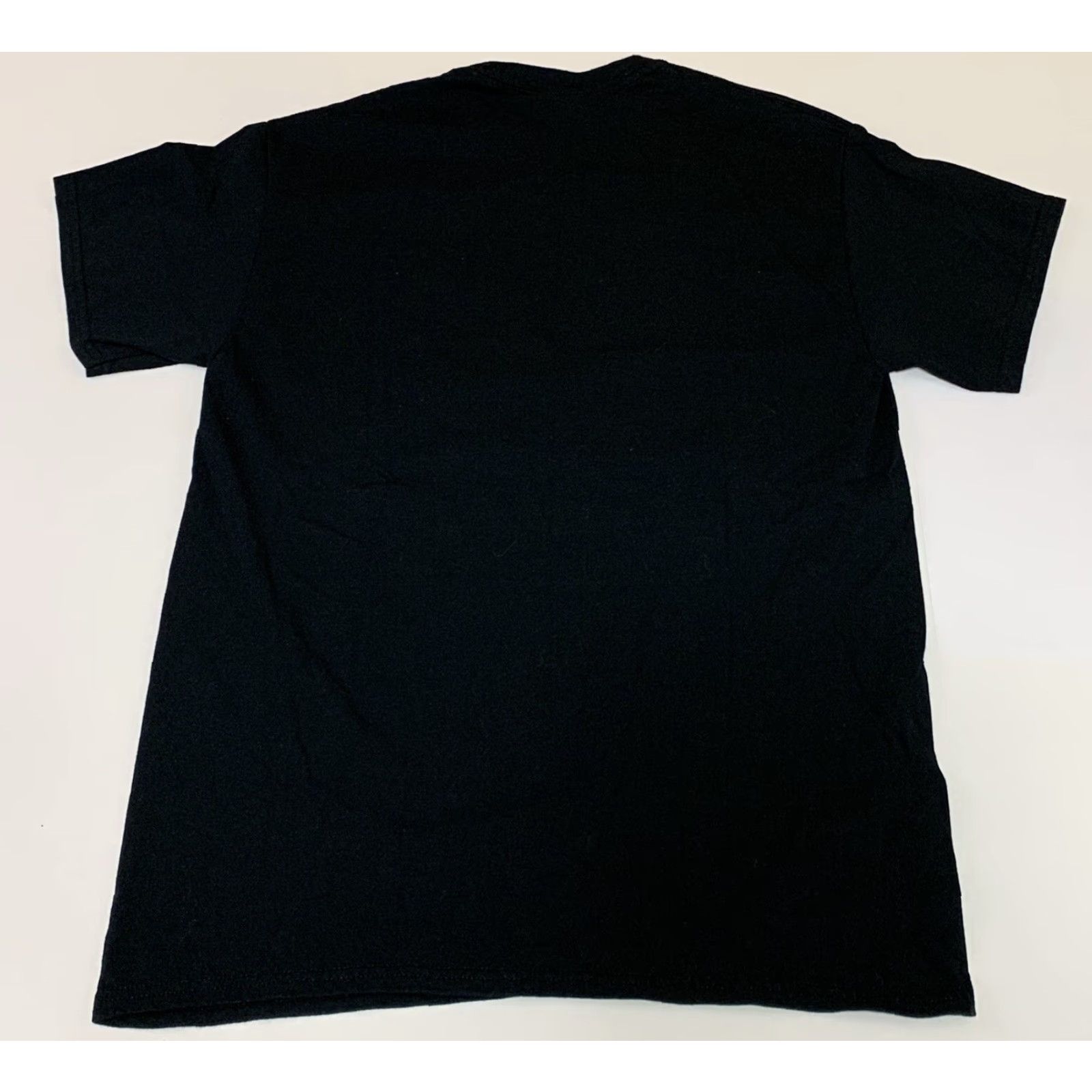 Gildan Don't Feed the Bears Mt Mitchell North Carolina T Shirt Size M Size US M / EU 48-50 / 2 - 8 Thumbnail