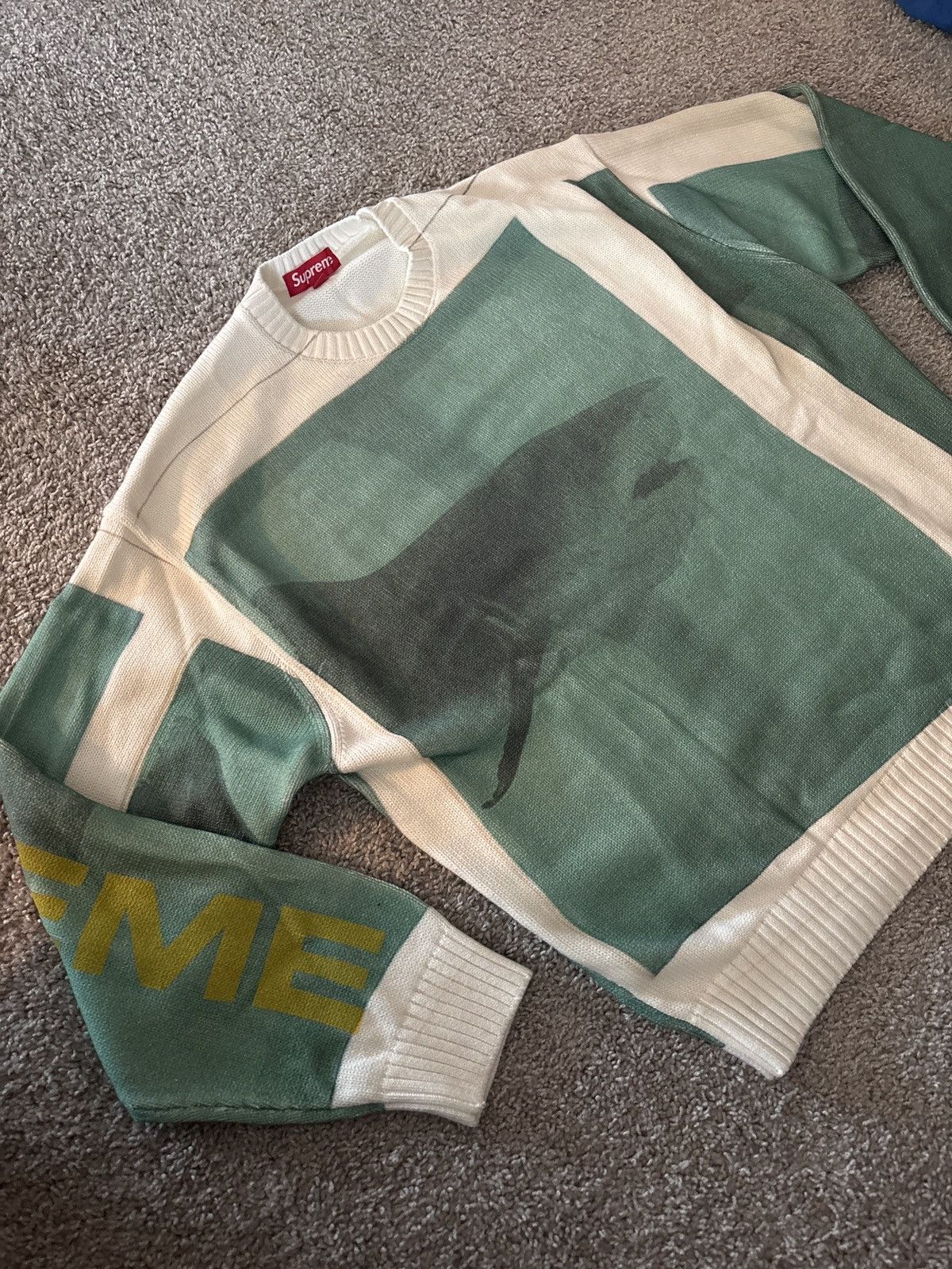 Damien Hirst × Supreme Supreme x Damien Hirst Shark Sweater Size US L / EU 52-54 / 3 - 2 Thumbnail