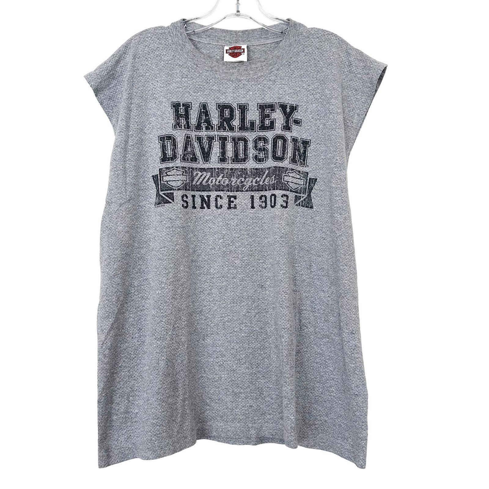 Harley Davidson Harley Davidson Plattsburgh New York Gray Muscle Tank Top L Size US L / EU 52-54 / 3 - 1 Thumbnail