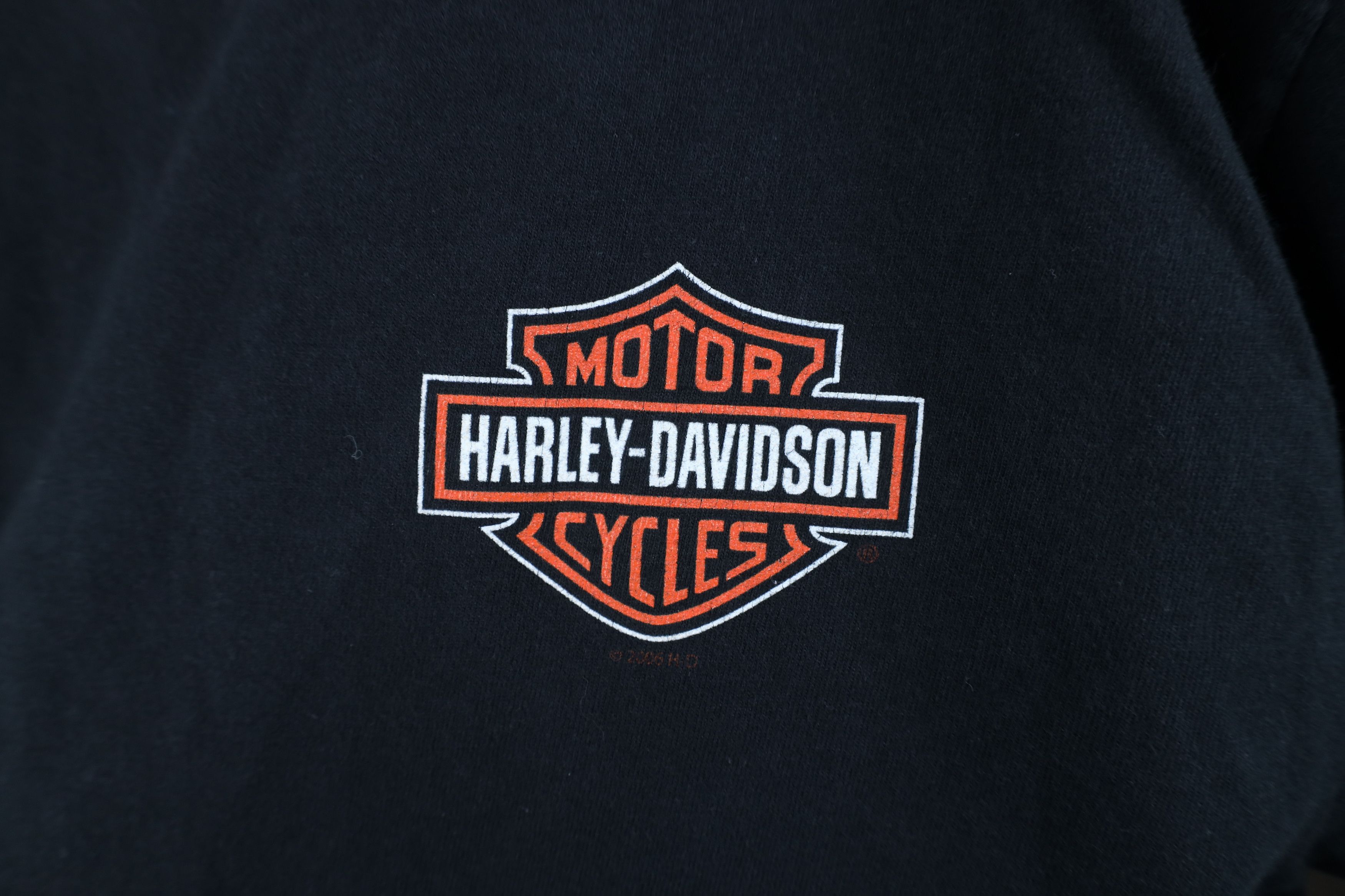 Harley Davidson Vintage Harley Davidson Spell Long Sleeve T-Shirt Black USA Size US M / EU 48-50 / 2 - 4 Thumbnail