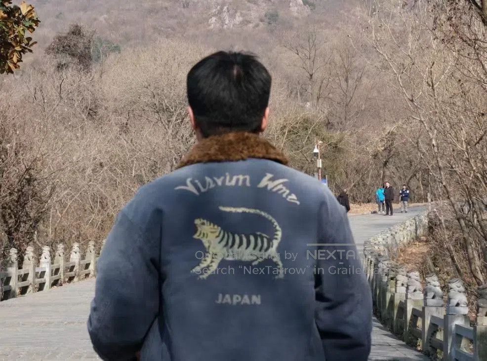 Visvim Visvim 24SS Purser Tiger Jacket. Size US M / EU 48-50 / 2 - 9 Thumbnail
