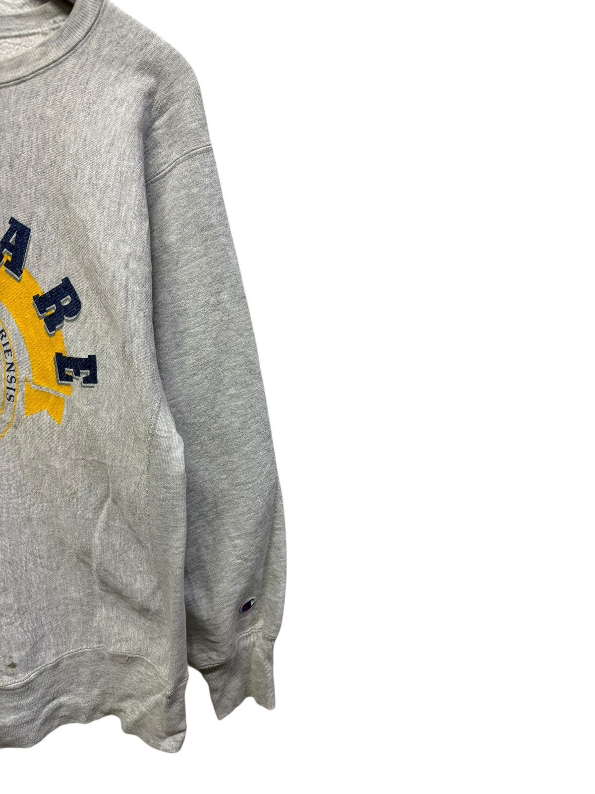 Champion Vintage champion reverse weave delawar university distressed Size US L / EU 52-54 / 3 - 3 Thumbnail